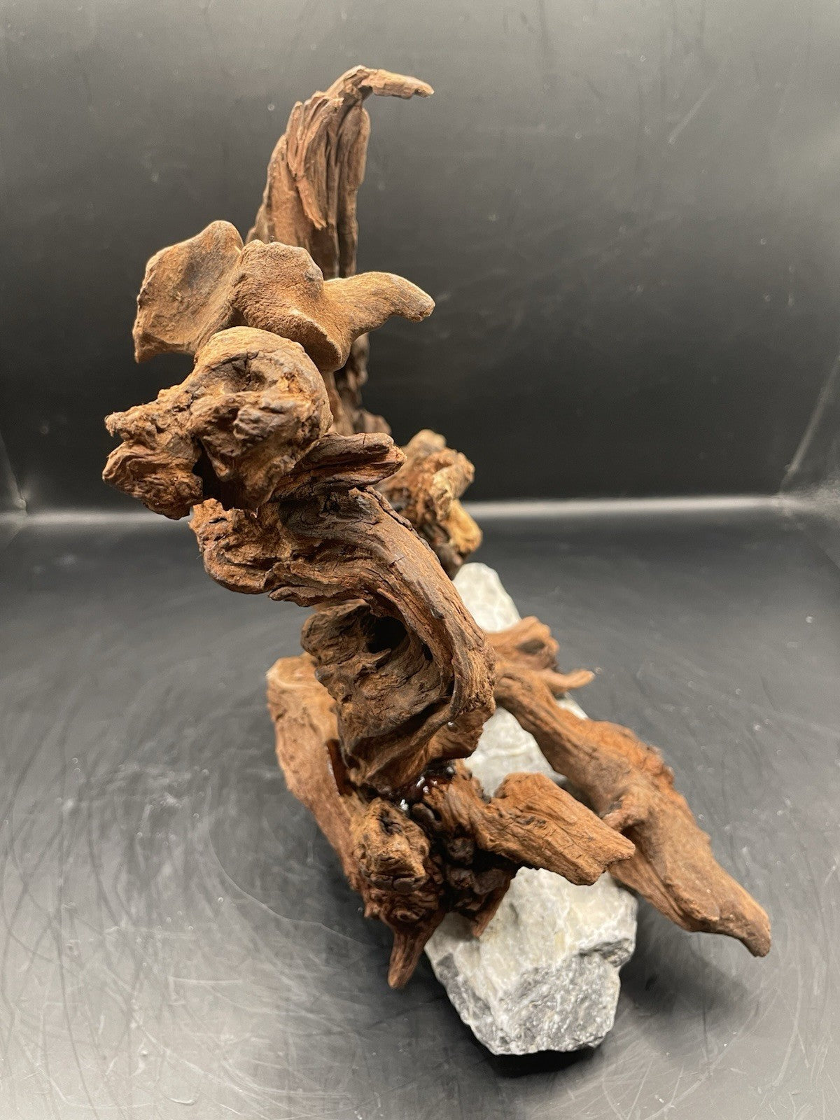 Aquarium Driftwood, Handcrafted Aquascape Unique Decoration - Elderhowl