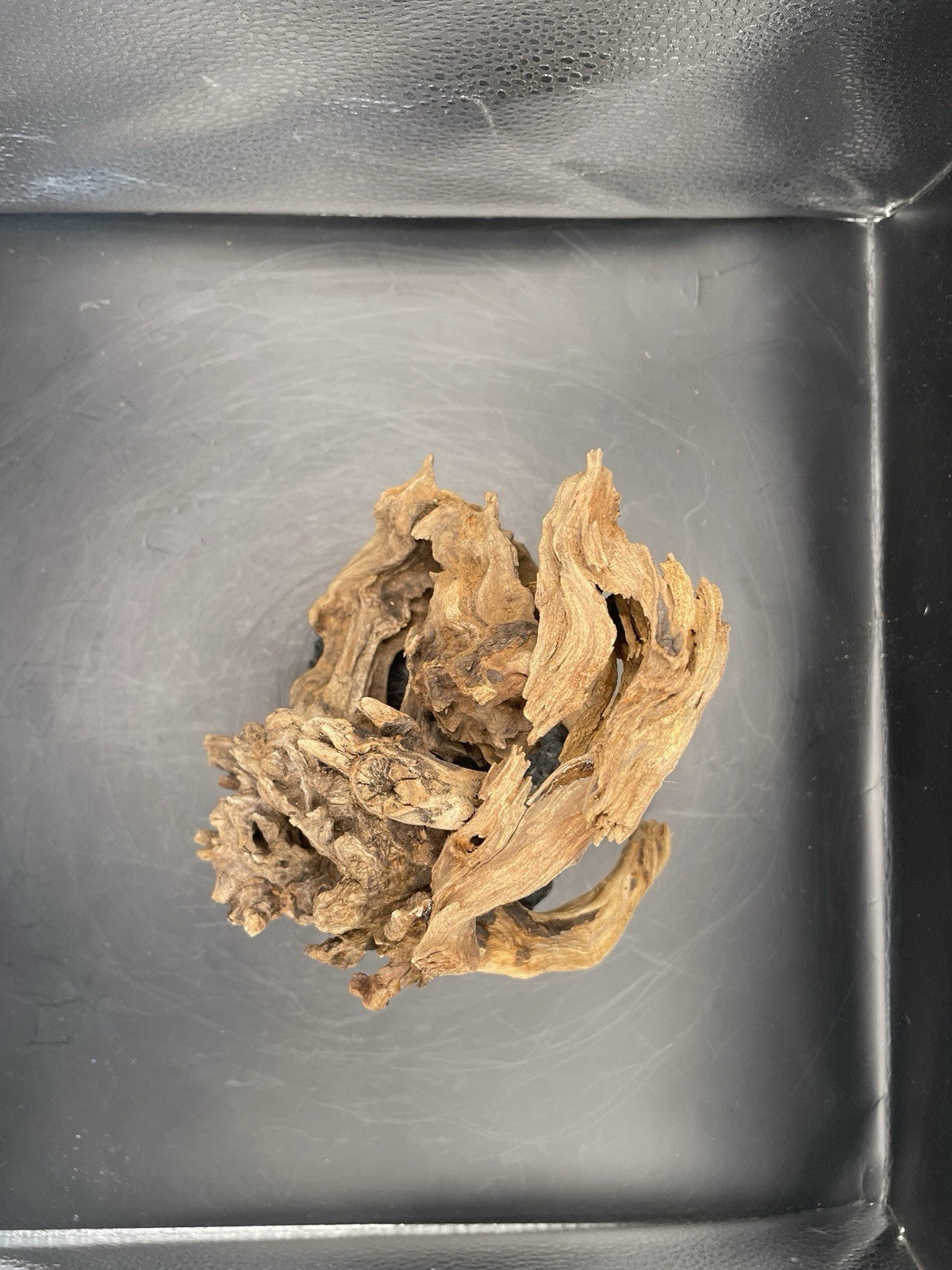 Aquarium Driftwood Handcrafted Aquascape Unique Lava Rock - Askja