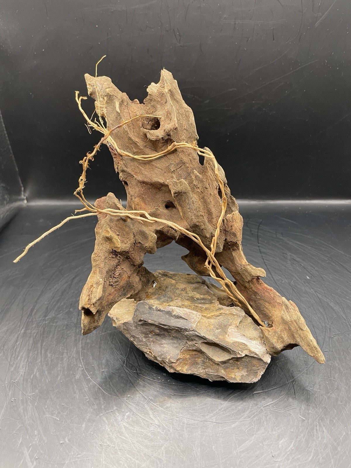 Aquarium Driftwood Handcrafted Aquascape Unique - The Triad of Thorne