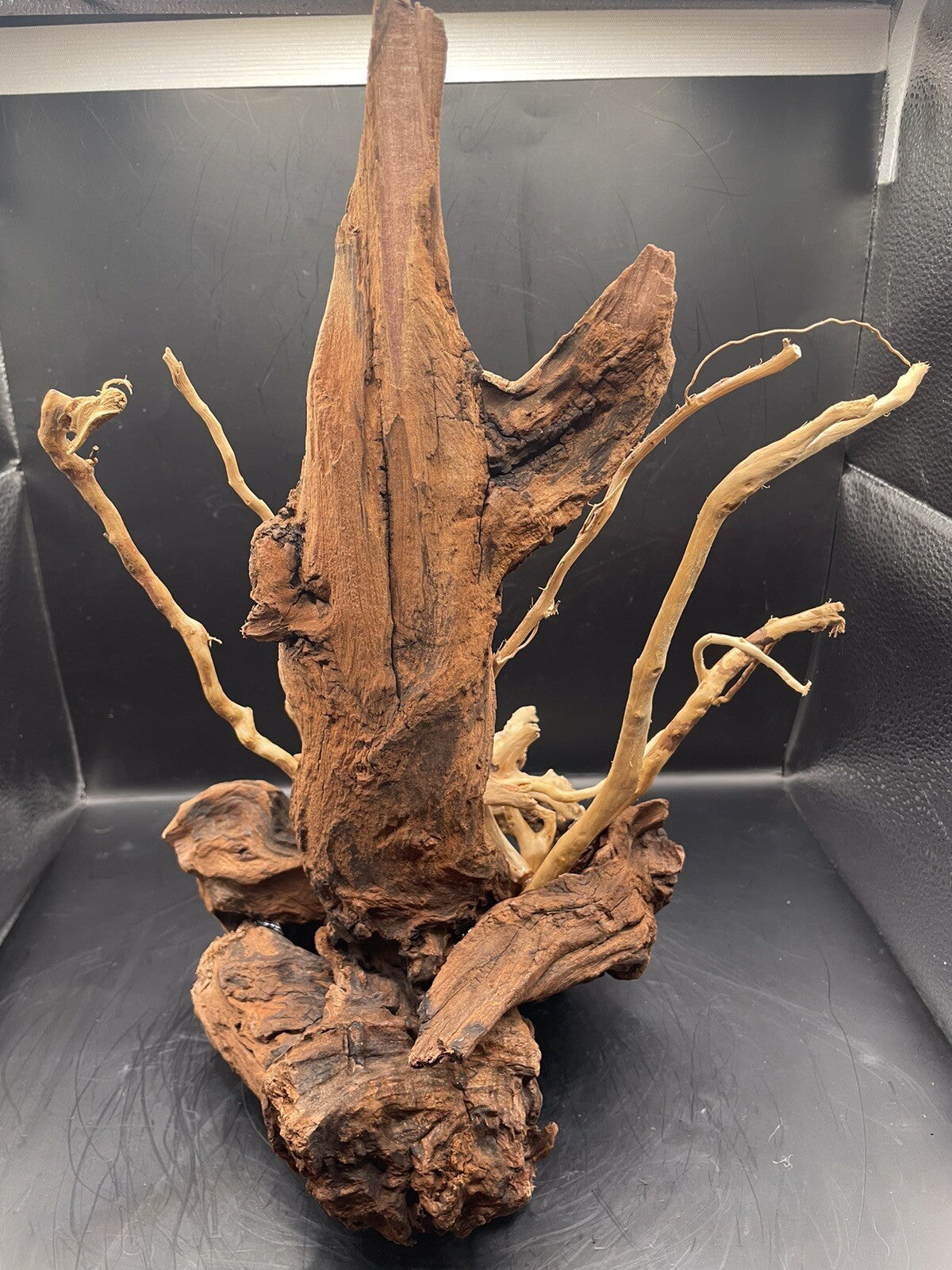 Aquarium Driftwood Wood Mix Natural Aquascape Design Unique - Drifthorn Sentinel