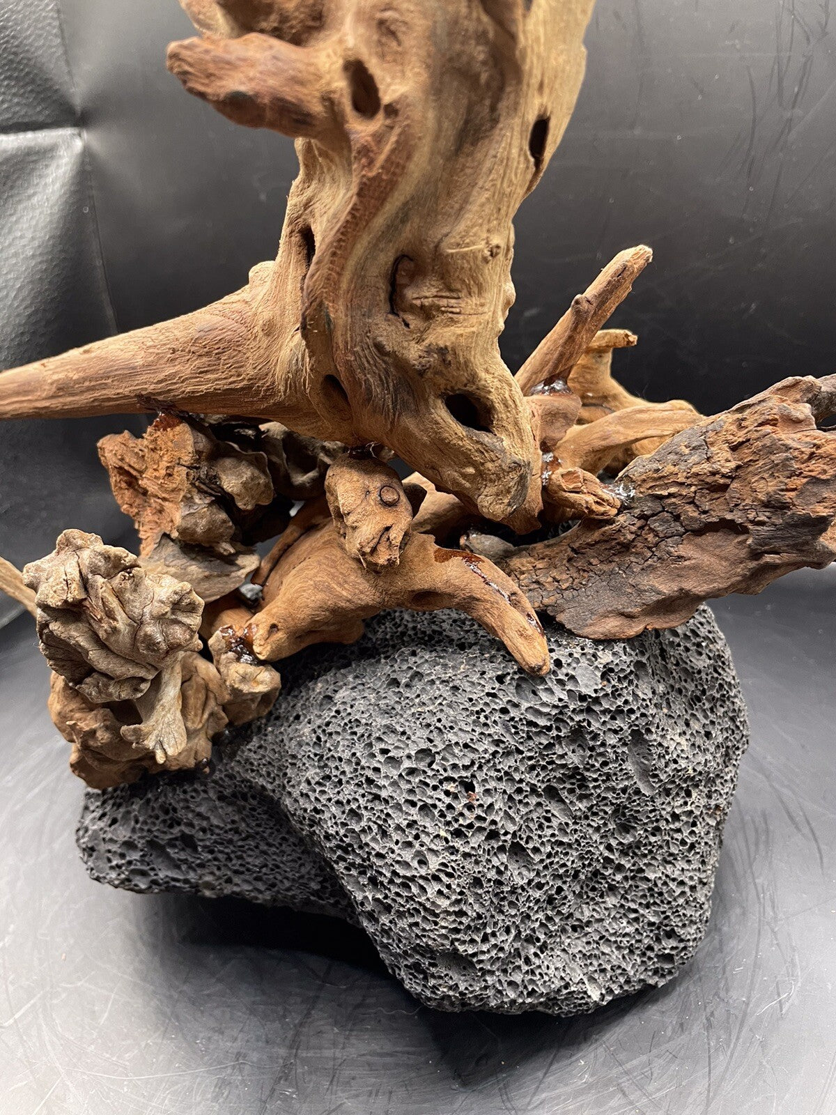 Aquarium Driftwood Wood Mix Natural Aquascape Unique Design - Fangspire Ascent