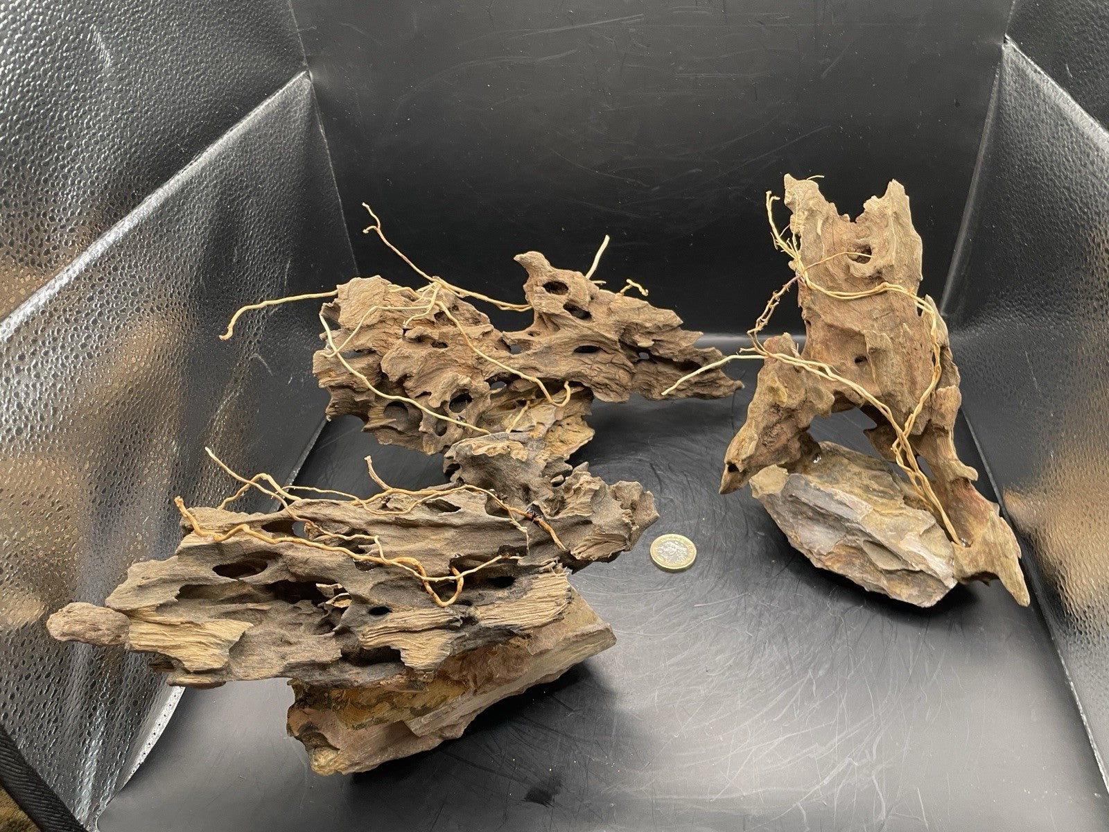 Aquarium Driftwood Handcrafted Aquascape Unique - The Triad of Thorne