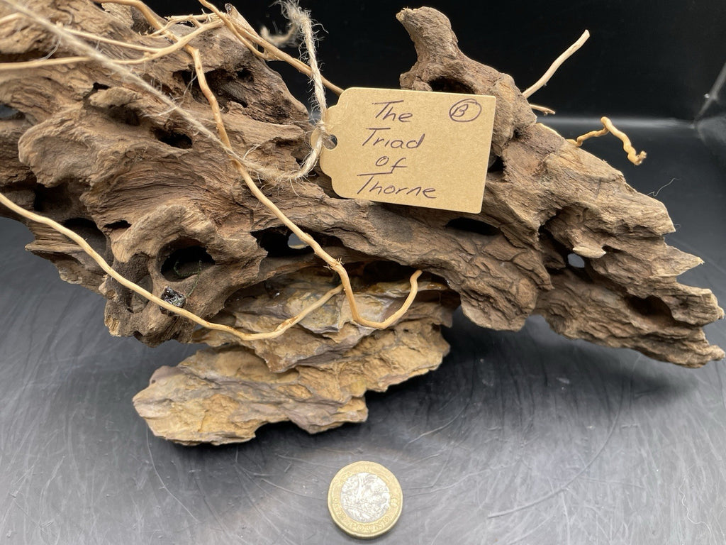 Aquarium Driftwood Handcrafted Aquascape Unique - The Triad of Thorne