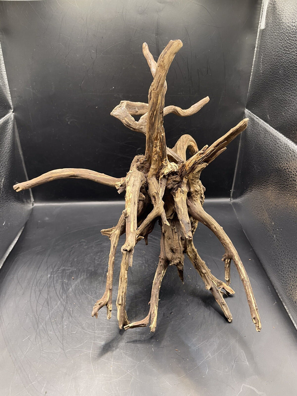 Aquarium Driftwood Wood Natural Aquascape Fish Tank - Spire Burst Root