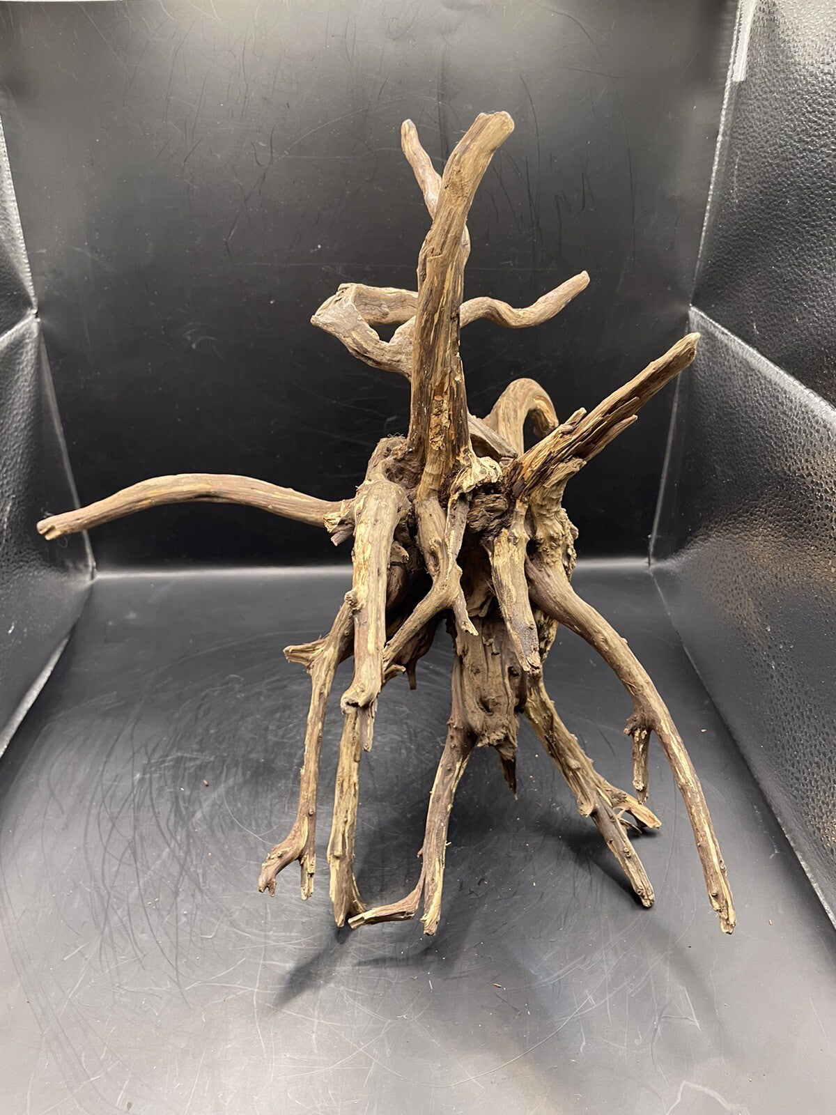 Aquarium Driftwood Wood Natural Aquascape Fish Tank - Spire Burst Root