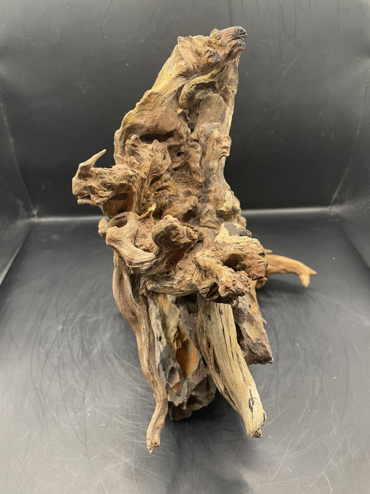 Aquarium Driftwood, Handcrafted Aquascape Unique Decoration - Skycoil