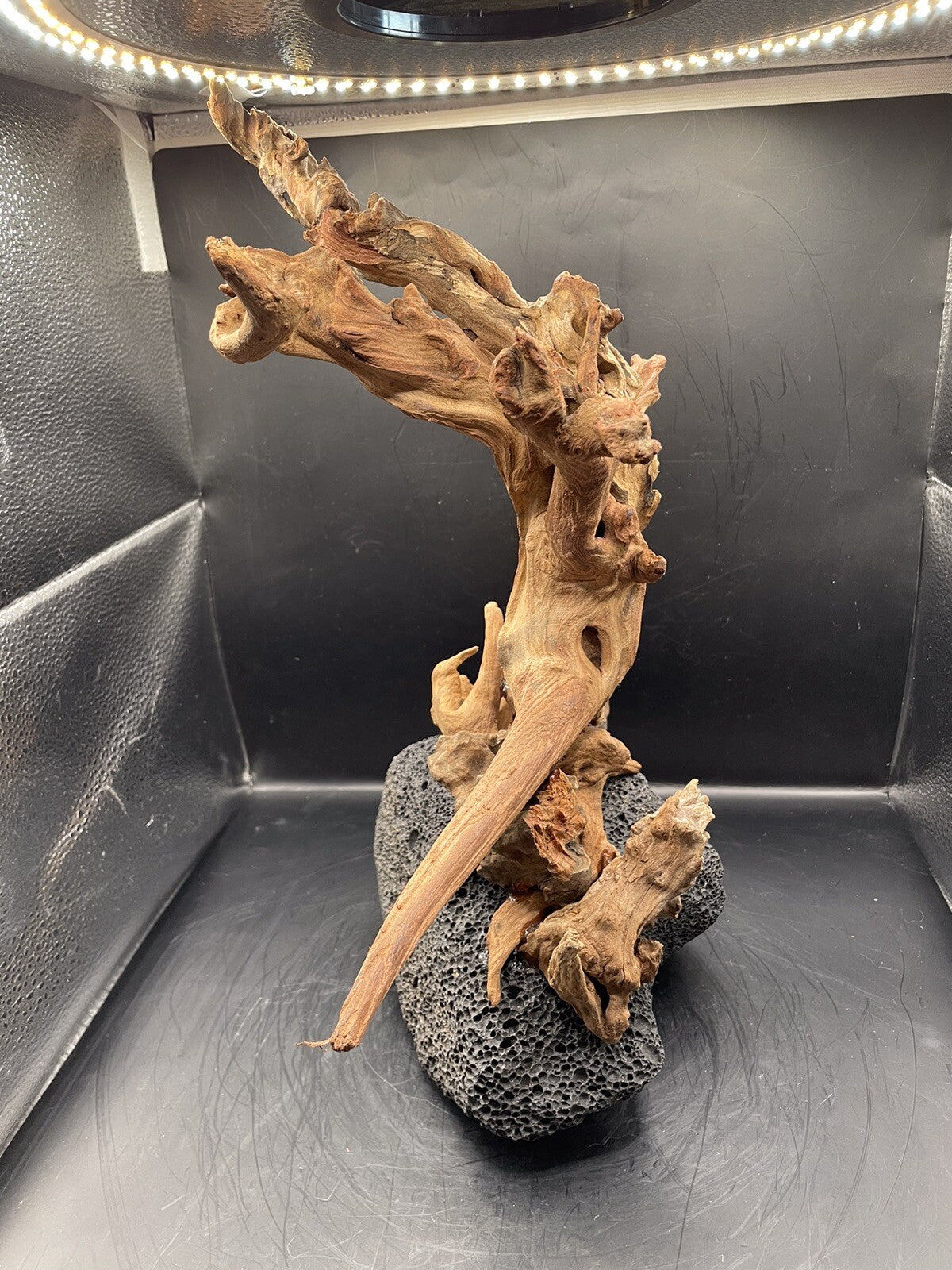 Aquarium Driftwood Wood Mix Natural Aquascape Unique Design - Fangspire Ascent