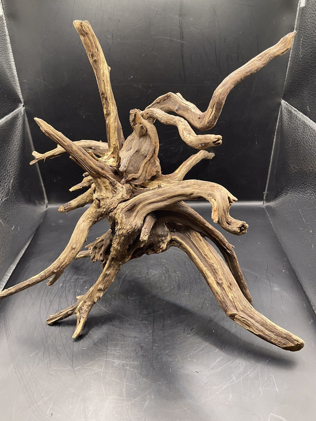 Aquarium Driftwood Wood Natural Aquascape Fish Tank - Spire Burst Root