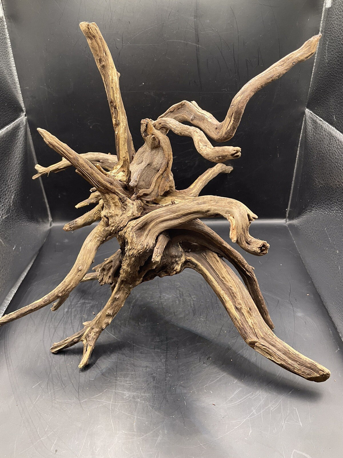 Aquarium Driftwood Wood Natural Aquascape Fish Tank - Spire Burst Root