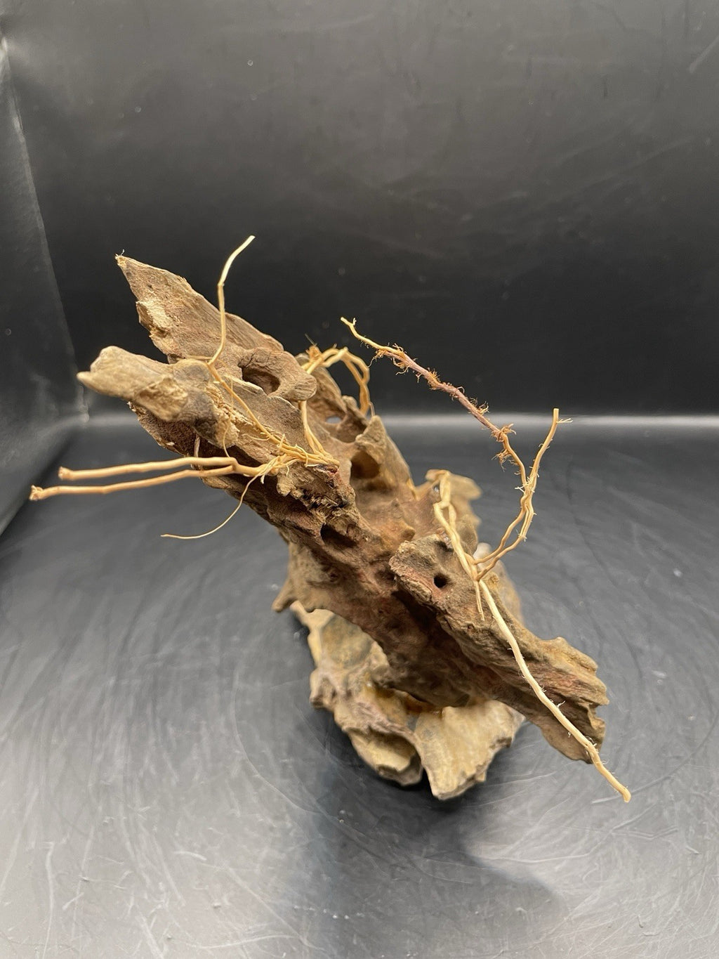 Aquarium Driftwood Handcrafted Aquascape Unique - The Triad of Thorne