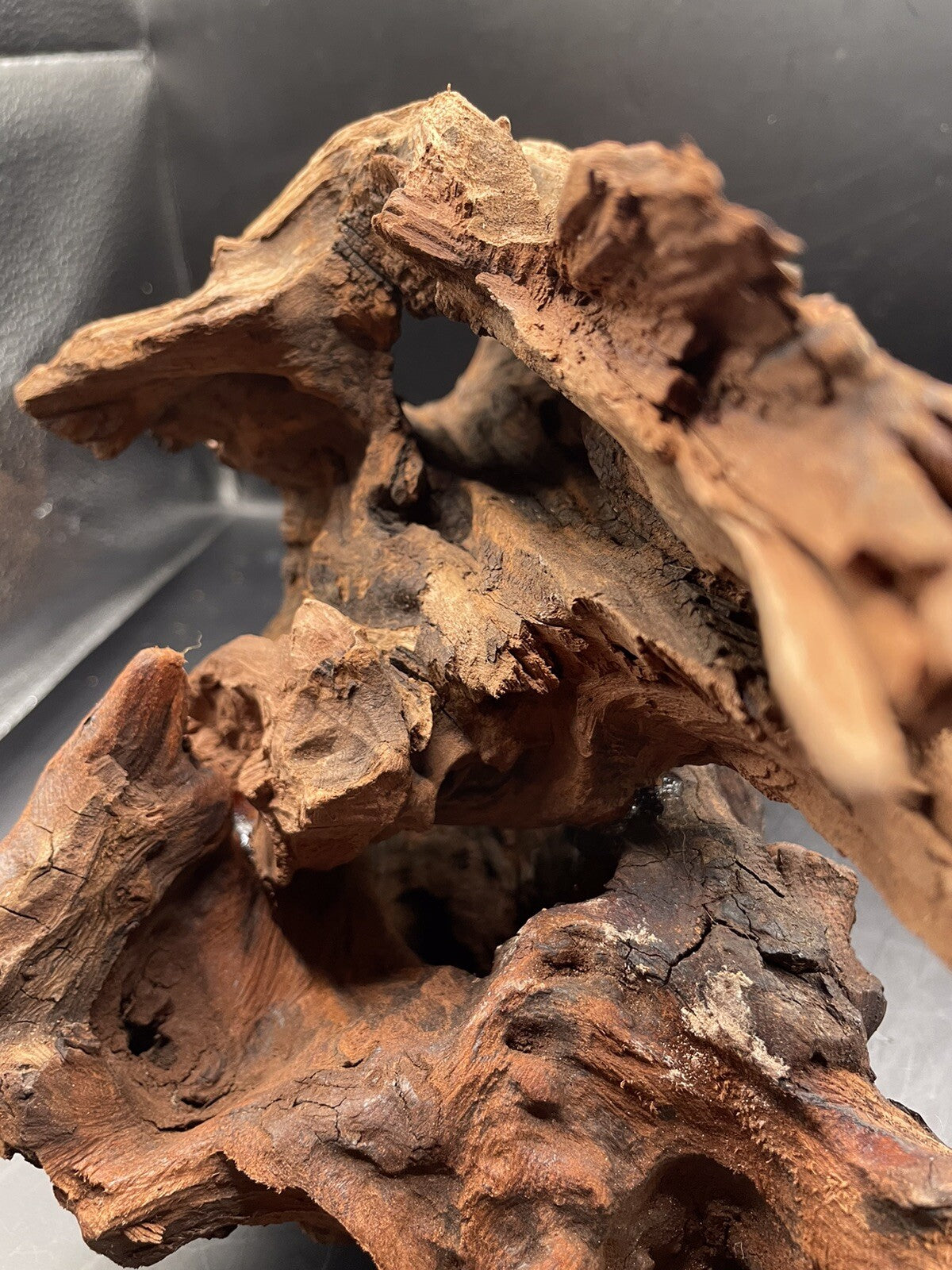 Aquarium Driftwood Wood Mix Natural Aquascape Design Unique - Twisted Titan