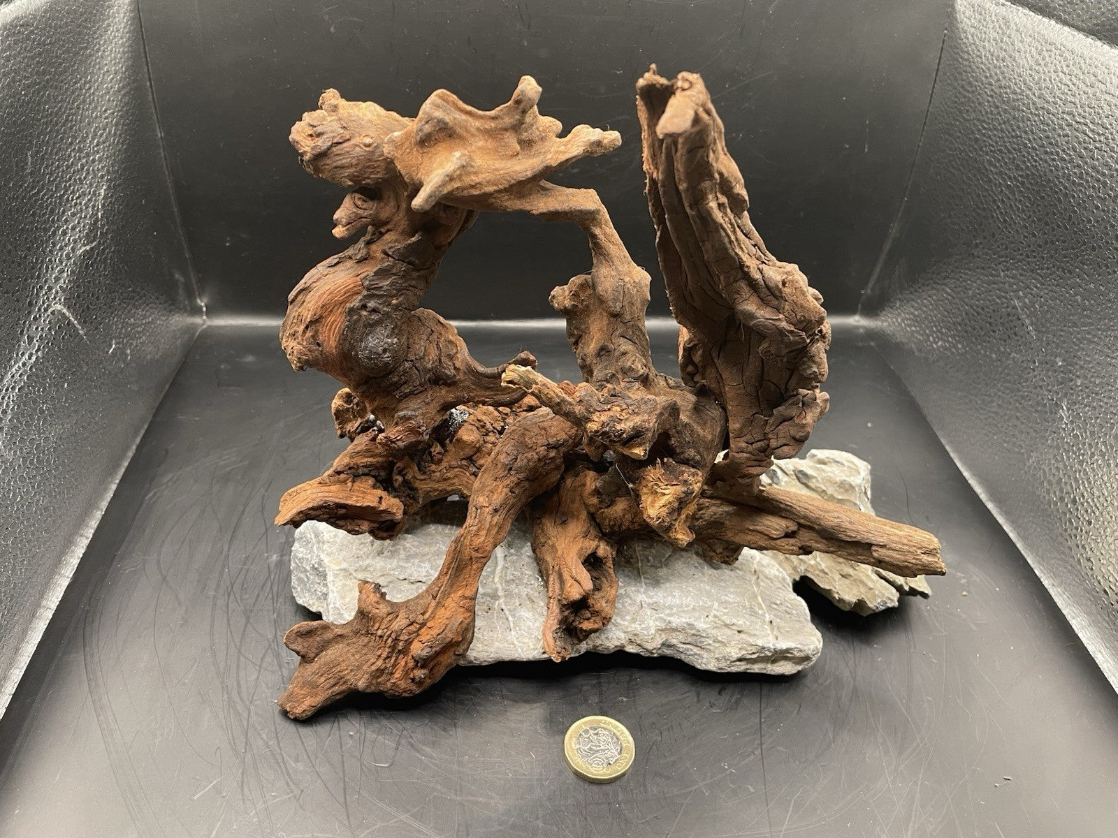 Aquarium Driftwood, Handcrafted Aquascape Unique Decoration - Elderhowl