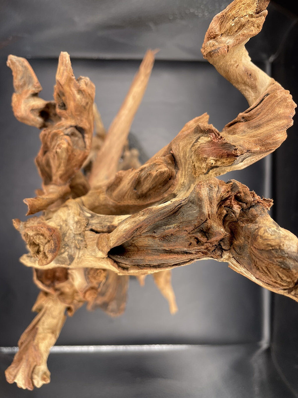 Aquarium Driftwood Wood Mix Natural Aquascape Unique Design - Fangspire Ascent