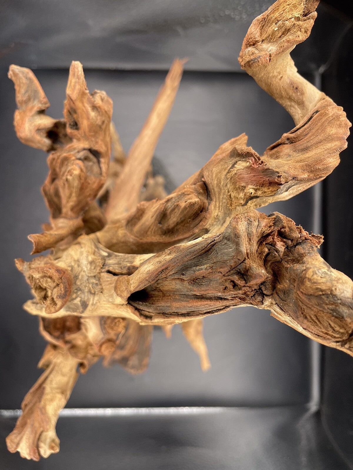 Aquarium Driftwood Wood Mix Natural Aquascape Unique Design - Fangspire Ascent