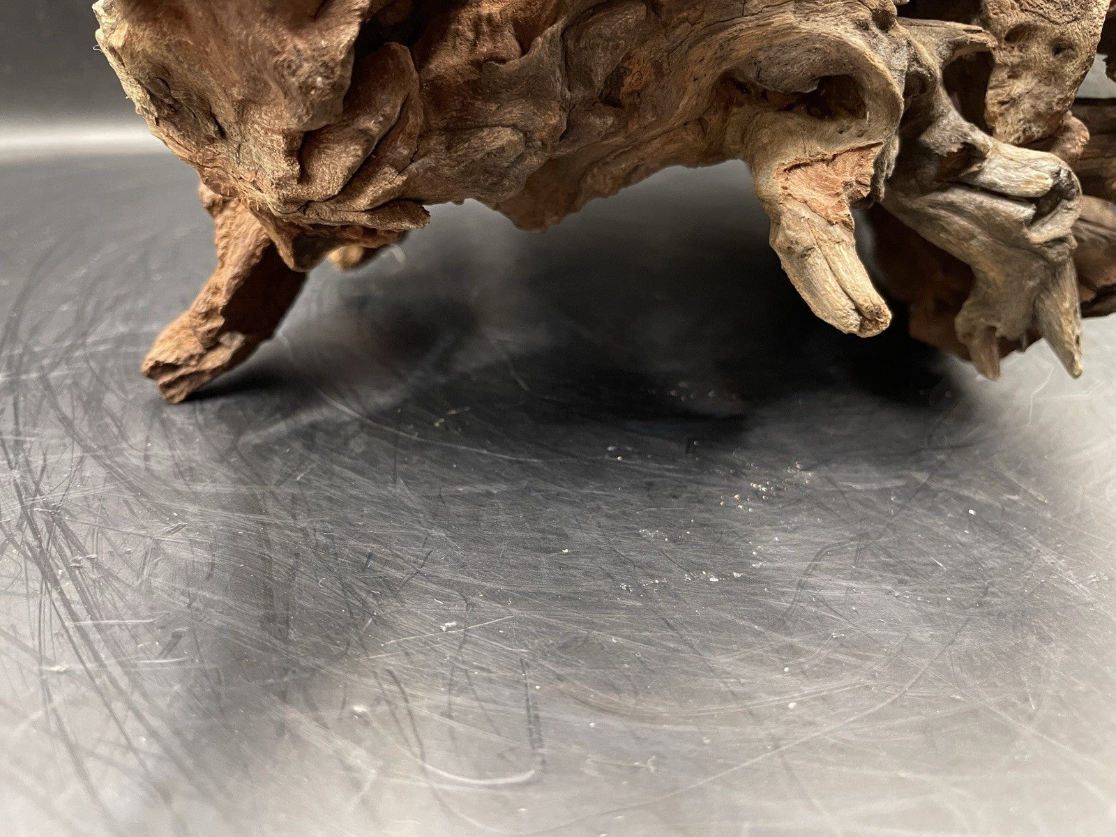 Aquarium Vivarium Driftwood Handcrafted Unique Cave Decoration-The Silvan Maw