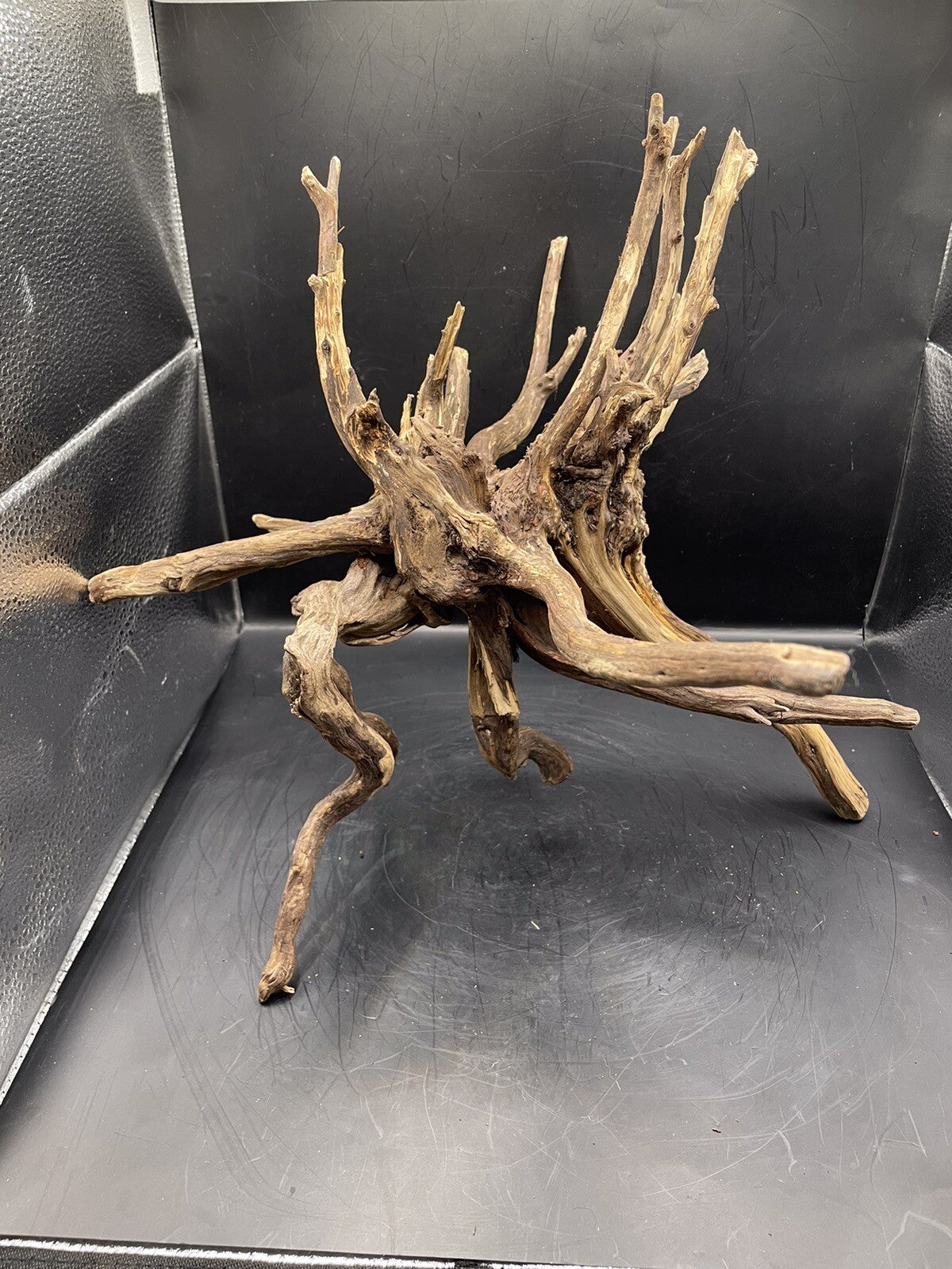 Aquarium Driftwood Wood Natural Aquascape Fish Tank - Spire Burst Root