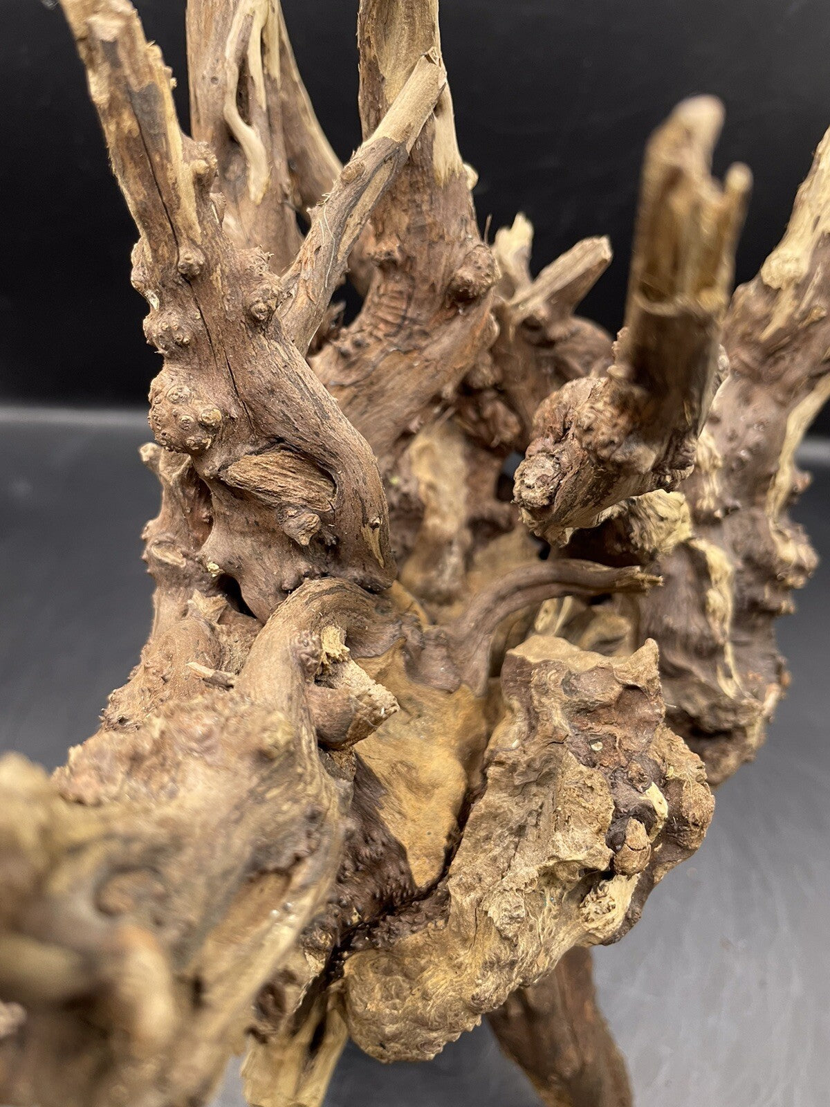 Aquarium Driftwood Wood Natural Aquascape Fish Tank - Starburst Stump
