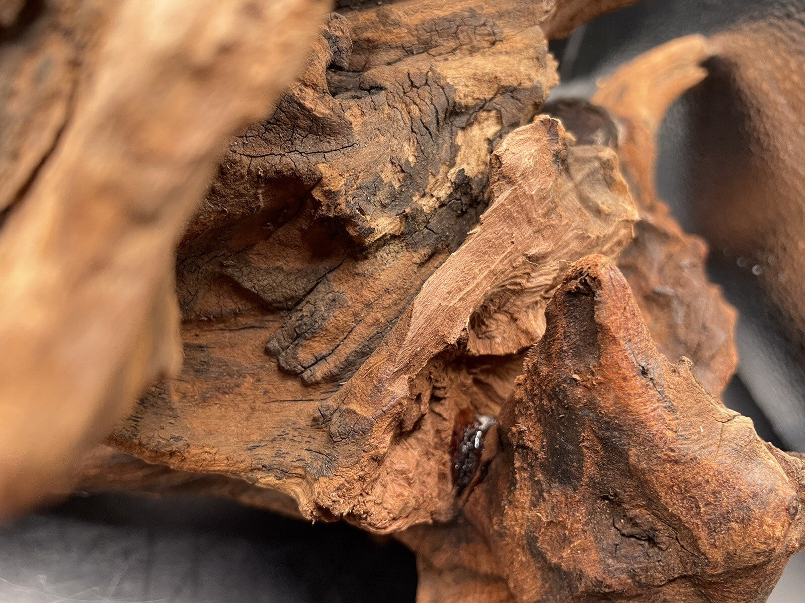 Aquarium Driftwood Wood Mix Natural Aquascape Design Unique - Twisted Titan