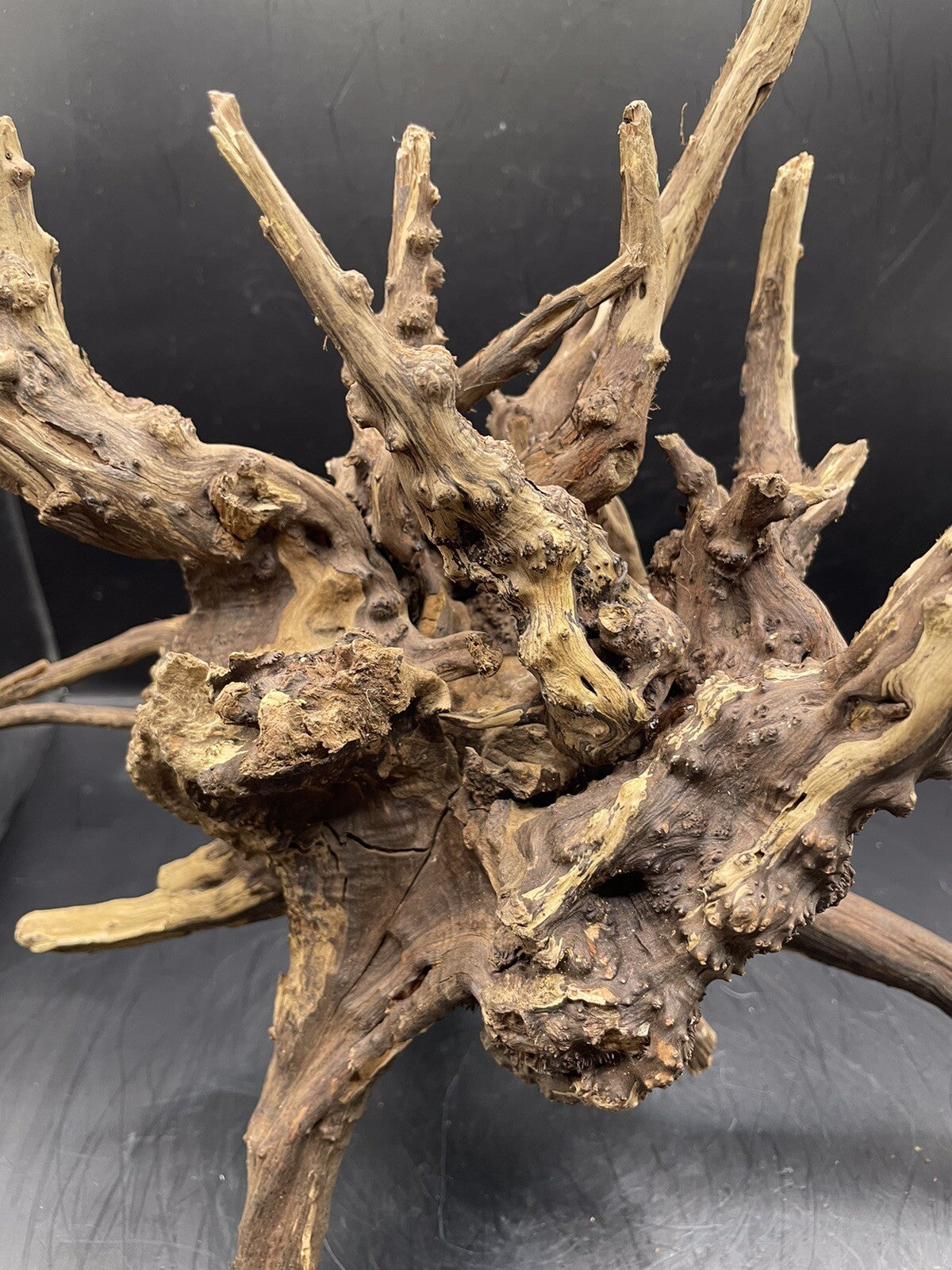 Aquarium Driftwood Wood Natural Aquascape Fish Tank - Starburst Stump