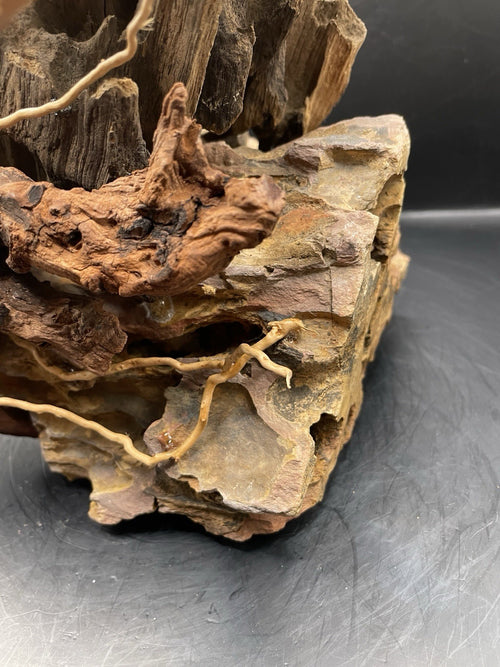 Aquarium Driftwood Handcrafted Aquascape Unique - Fenbone Gate