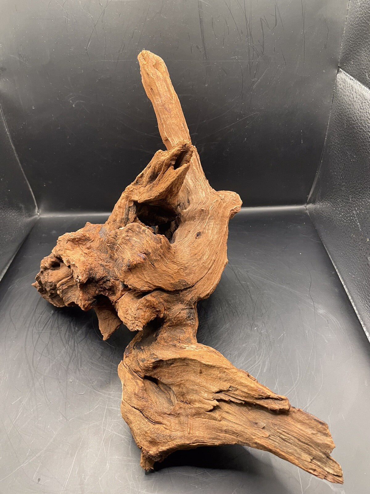 Aquarium Driftwood Wood Natural Aquascape Fish Tank - Gnarleth’s Refuge