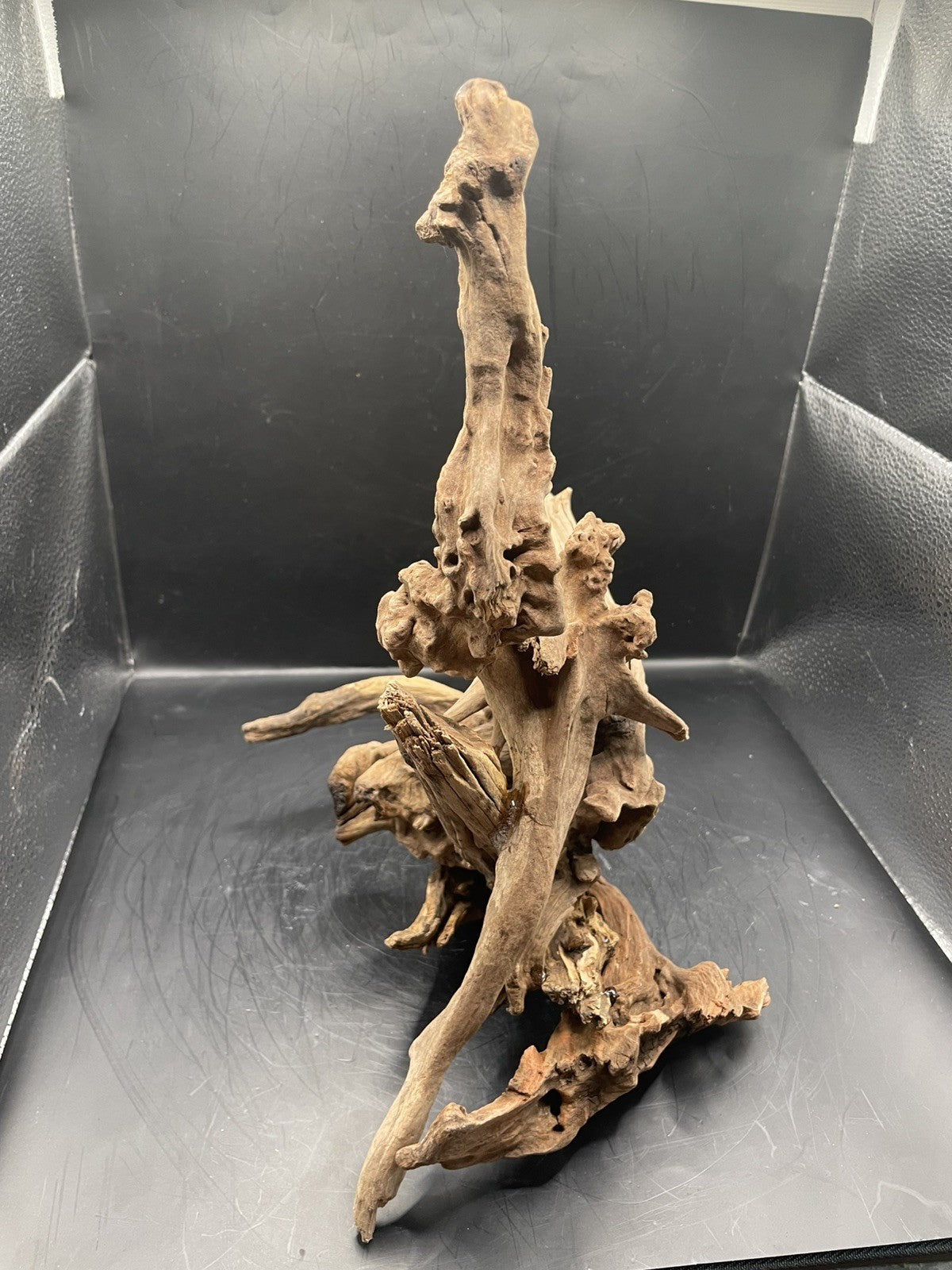 Aquarium Driftwood, Handcrafted Aquascape Unique Decoration - Stormperch