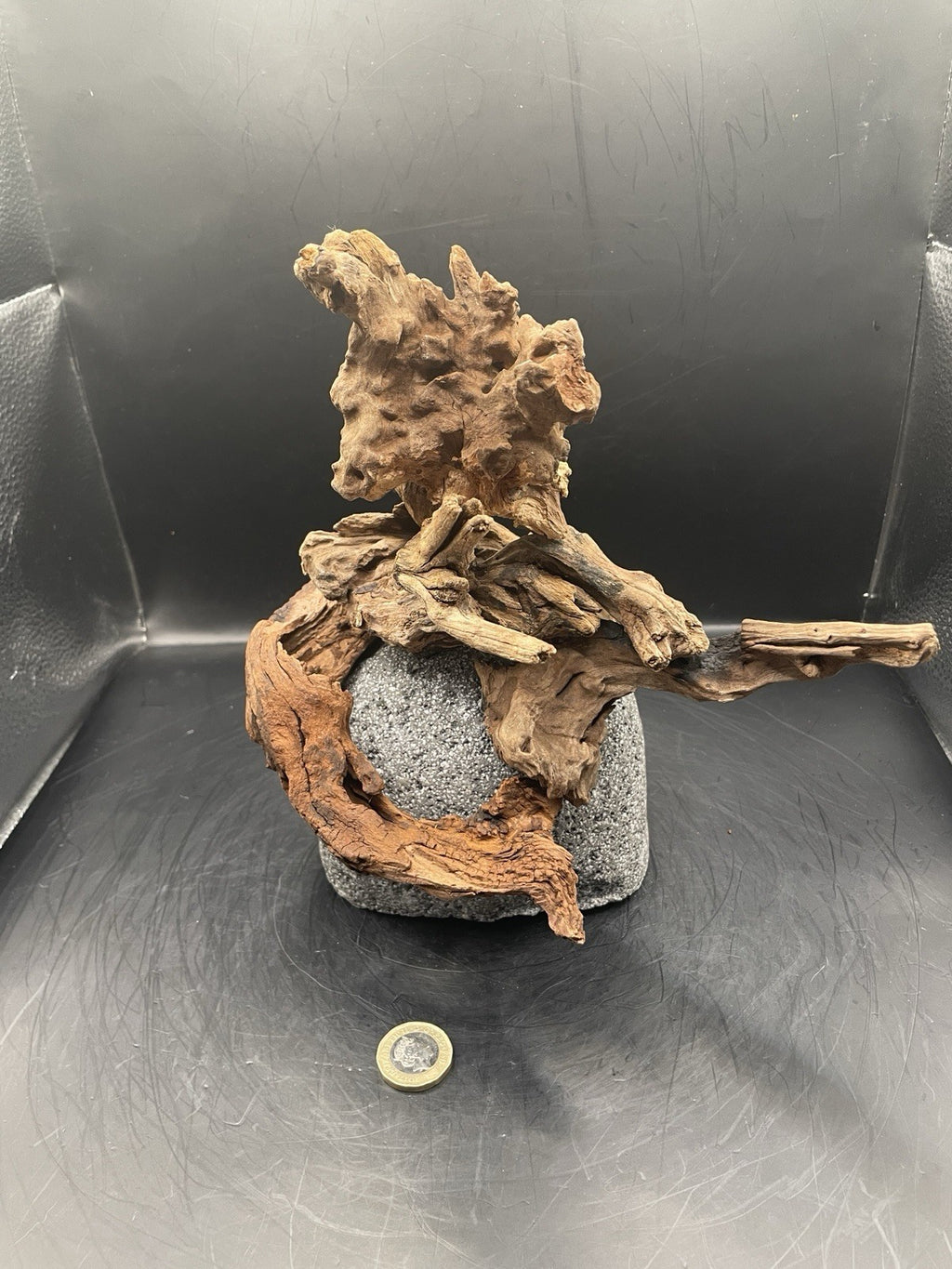 Aquarium Driftwood Handcrafted Aquascape Unique Lava Rock - Krakatoa