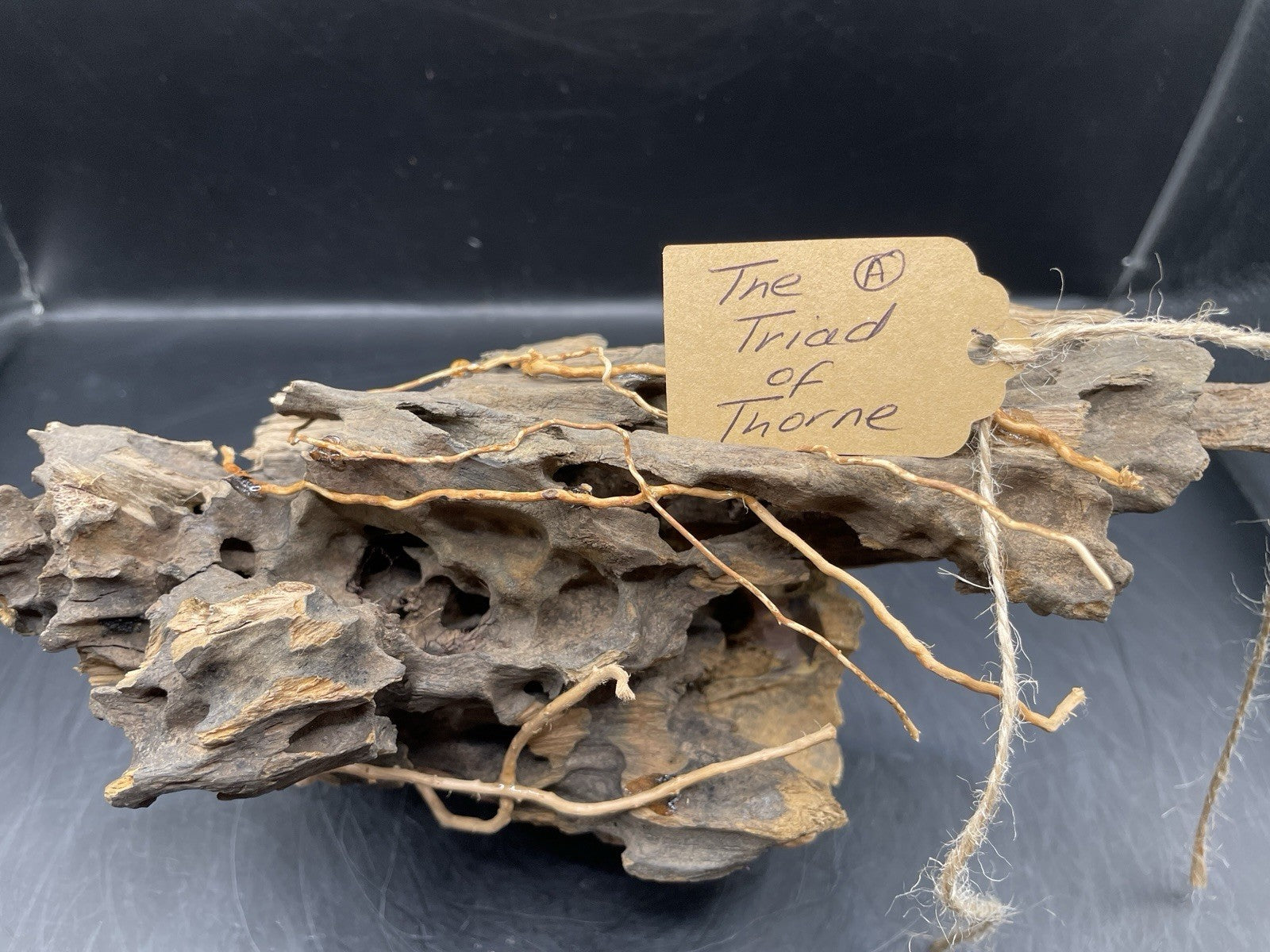 Aquarium Driftwood Handcrafted Aquascape Unique - The Triad of Thorne