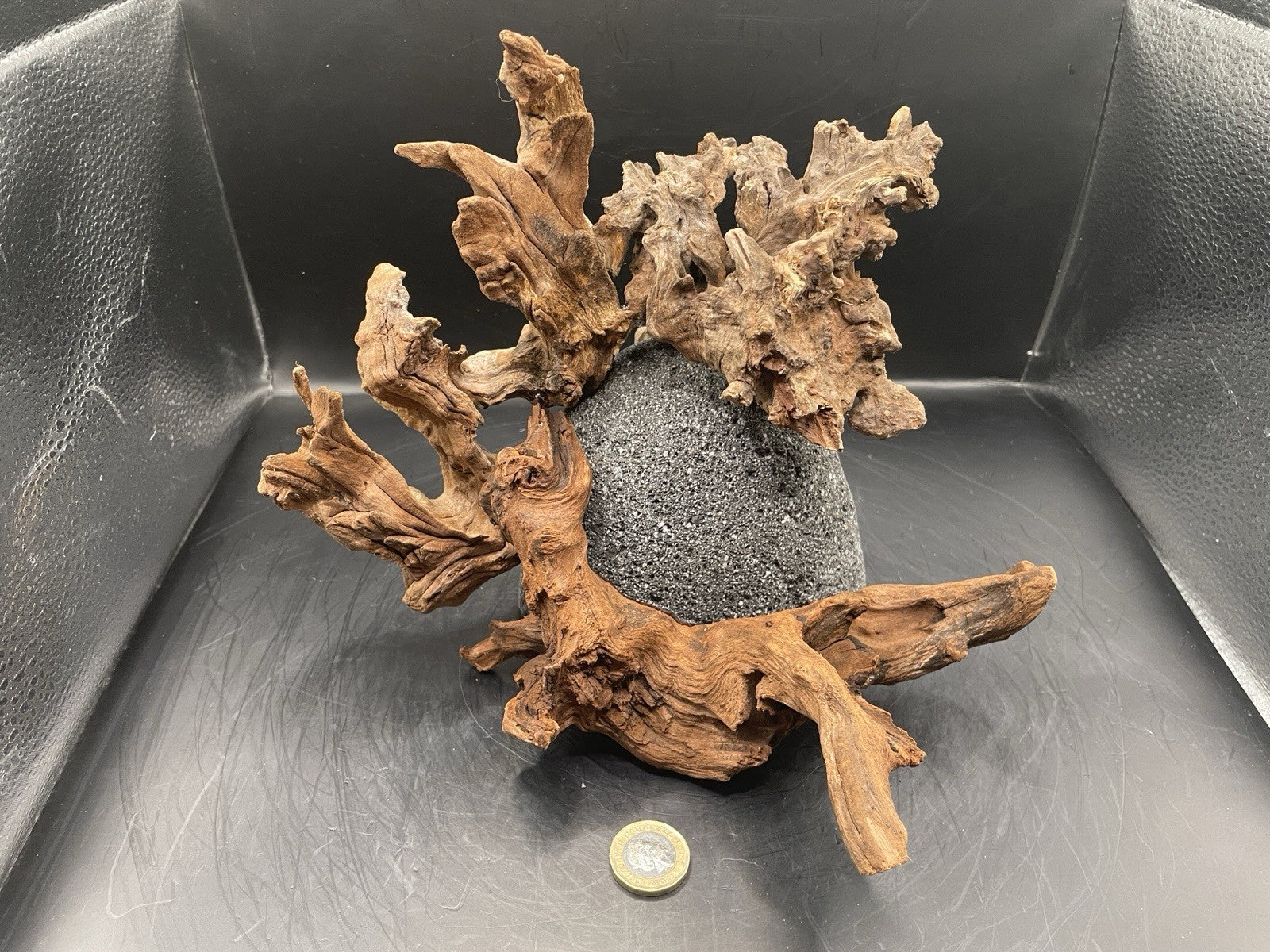 Aquarium Driftwood Handcrafted Aquascape Unique Lava Rock - Etna