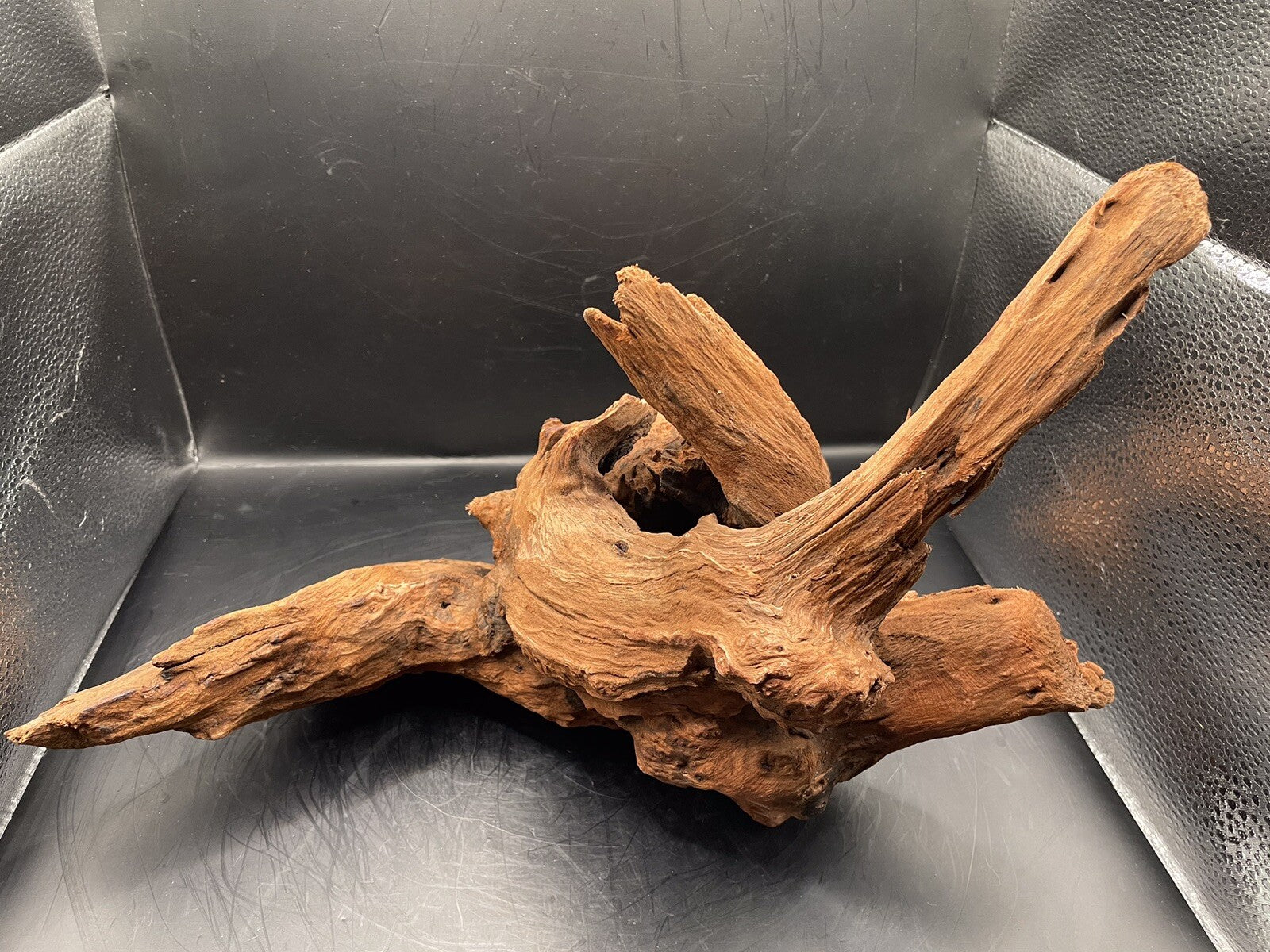 Aquarium Driftwood Wood Natural Aquascape Fish Tank - Gnarleth’s Refuge