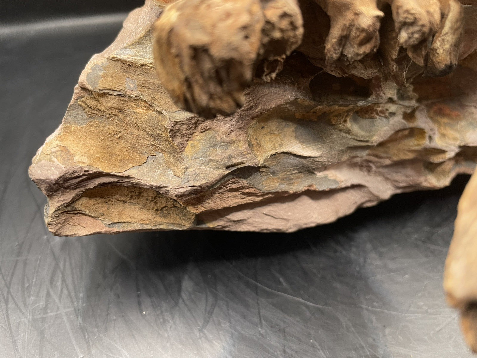 Aquarium Driftwood, Handcrafted Aquascape Unique Decoration - Timbercrest