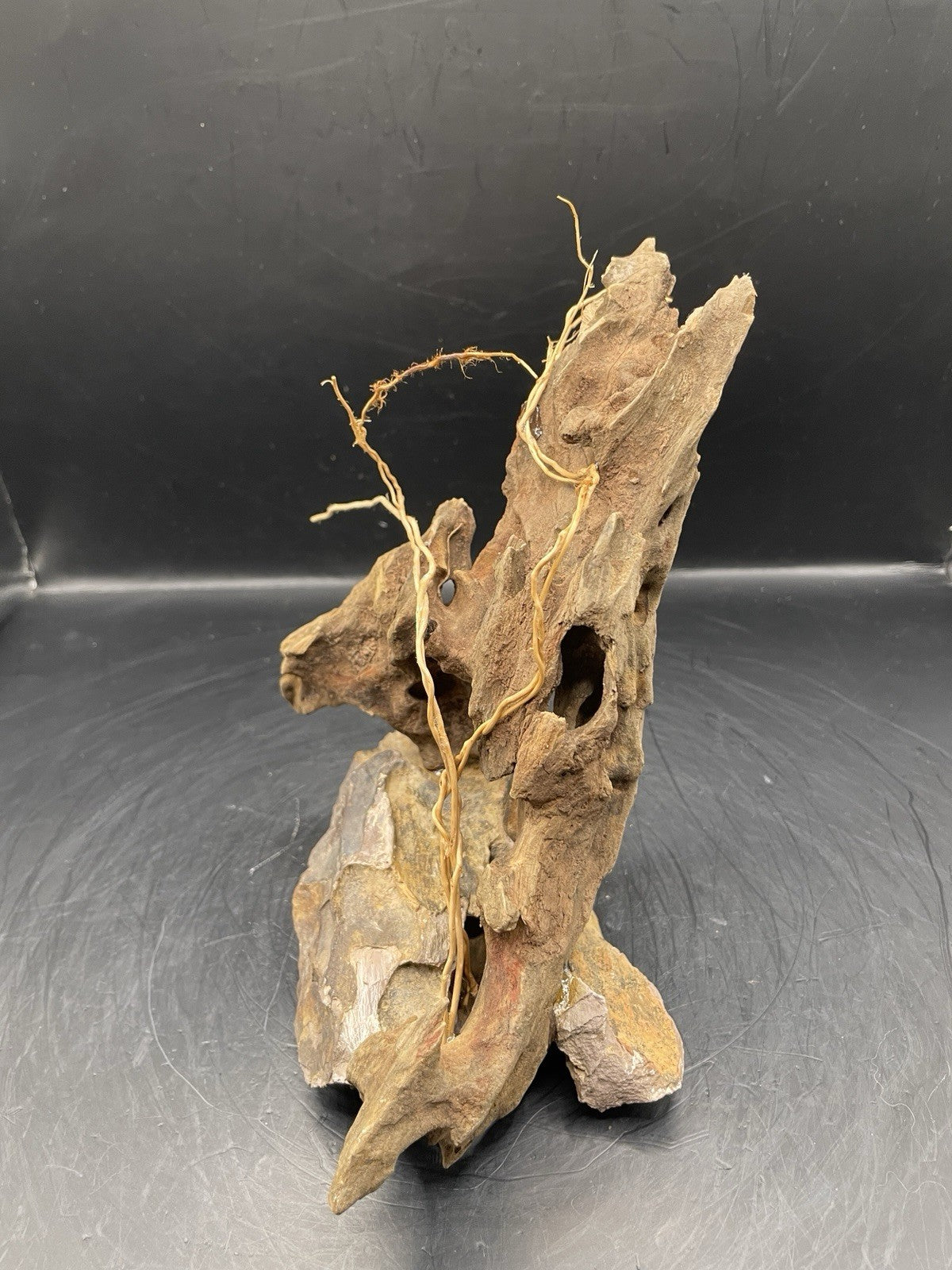 Aquarium Driftwood Handcrafted Aquascape Unique - The Triad of Thorne