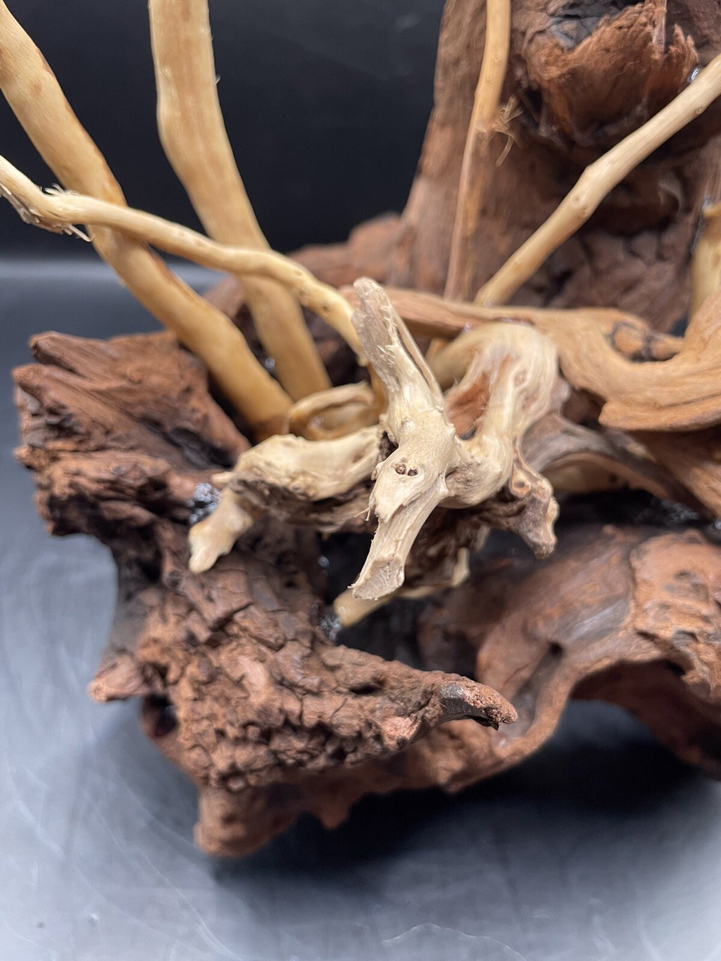 Aquarium Driftwood Wood Mix Natural Aquascape Design Unique - Drifthorn Sentinel