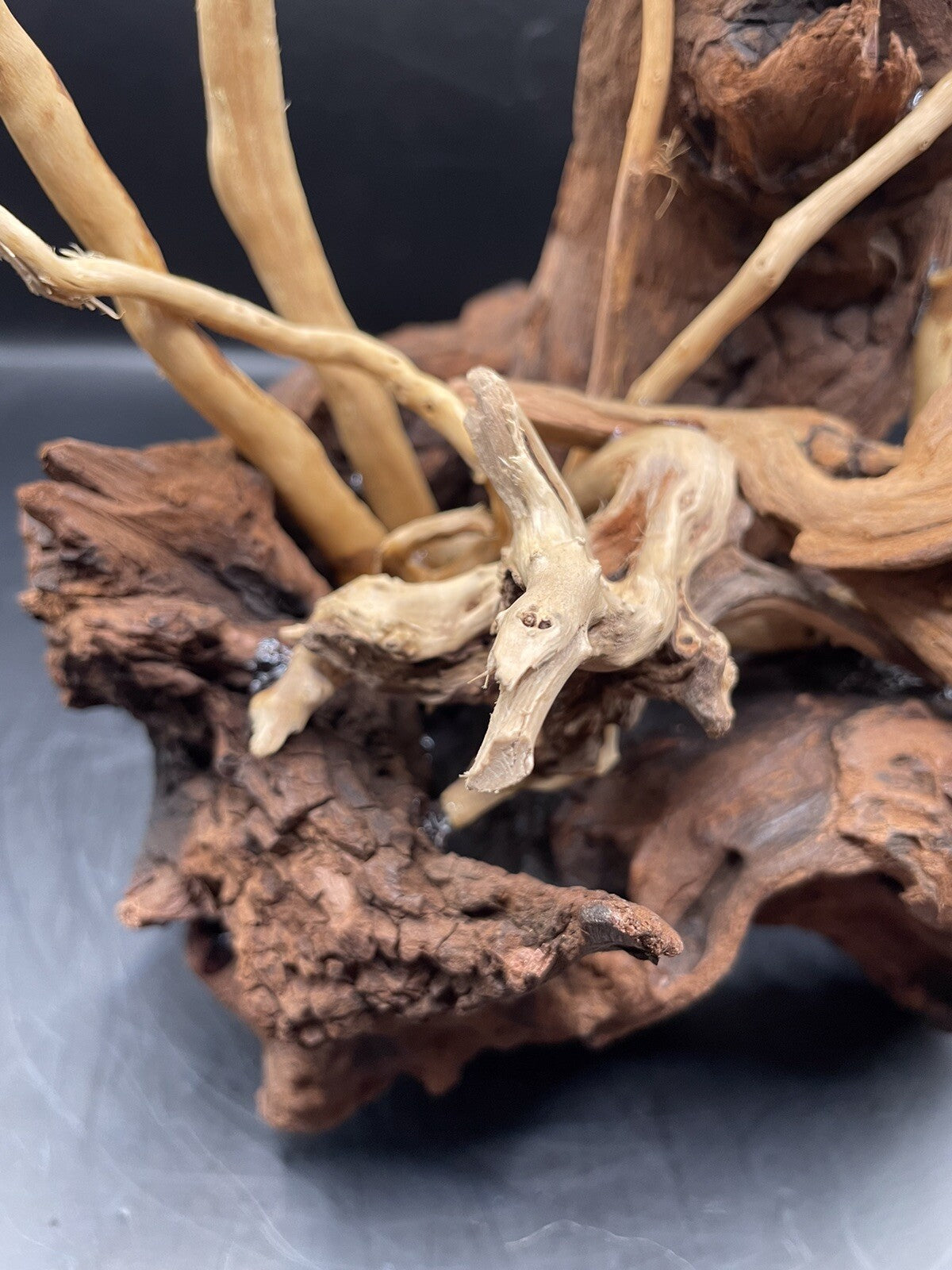 Aquarium Driftwood Wood Mix Natural Aquascape Design Unique - Drifthorn Sentinel