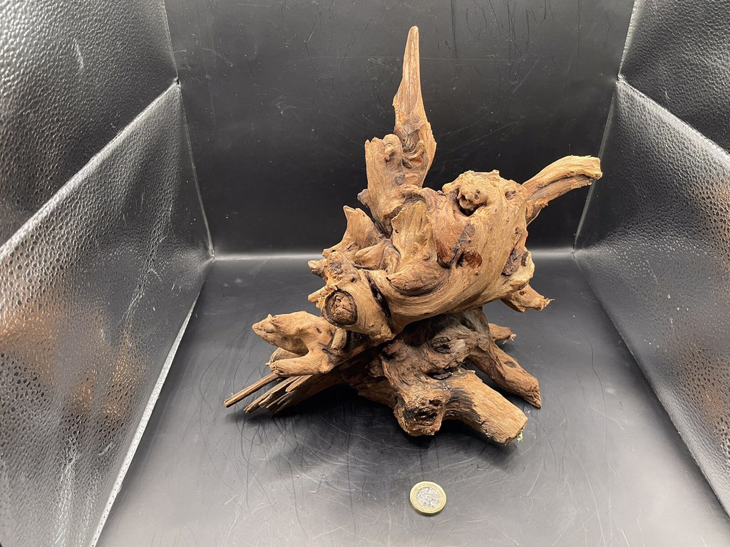 Aquarium Driftwood Wood Mix Natural Aquascape Design Unique - Krakens Claw