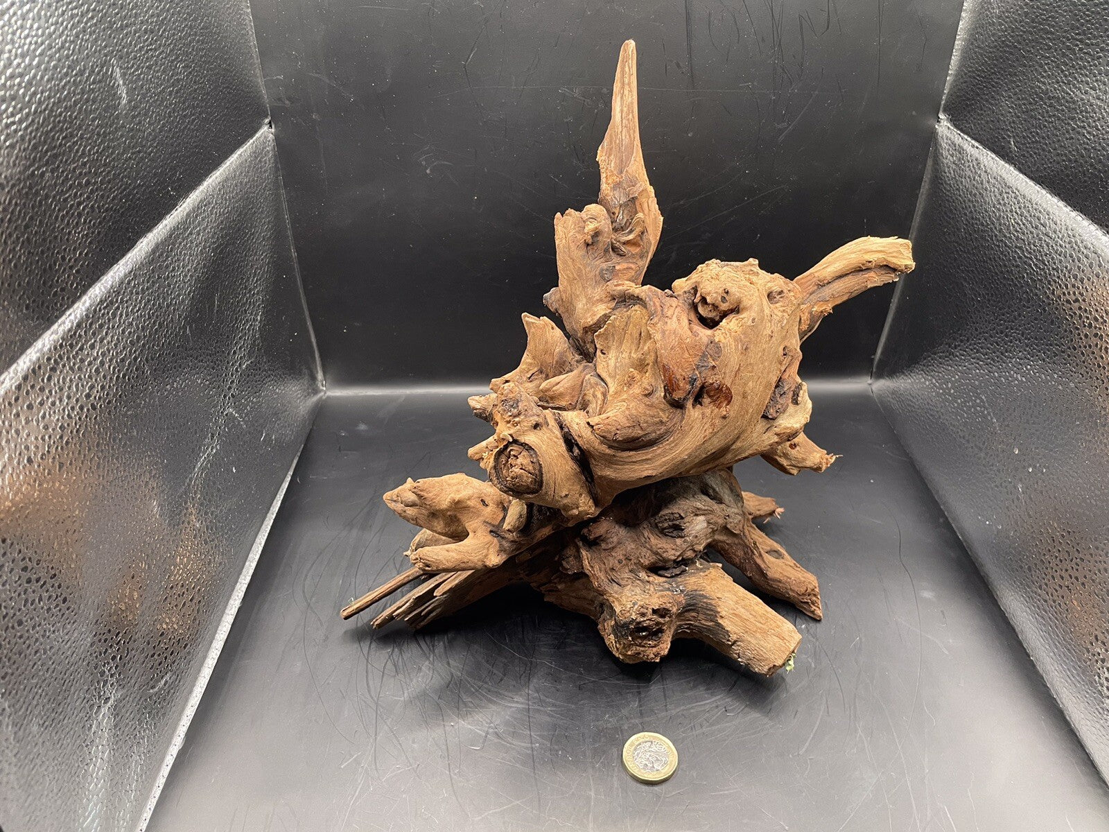 Aquarium Driftwood Wood Mix Natural Aquascape Design Unique - Krakens Claw