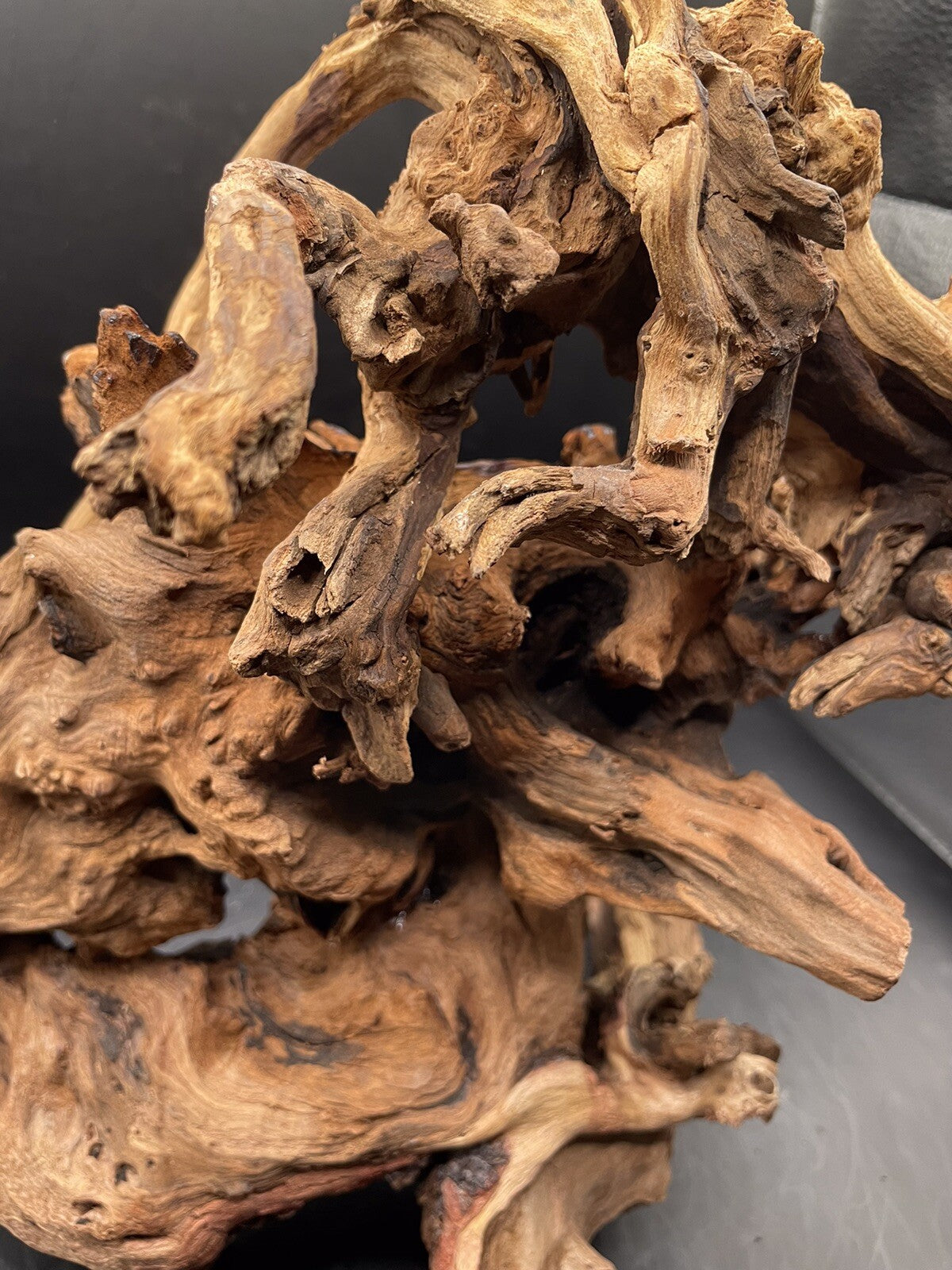 Aquarium Driftwood Wood Mix Natural Aquascape Design Unique - Serpents Spine