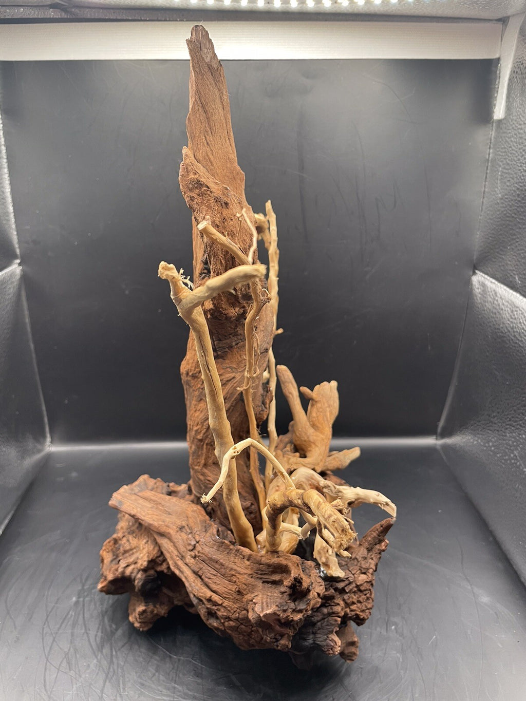 Aquarium Driftwood Wood Mix Natural Aquascape Design Unique - Drifthorn Sentinel