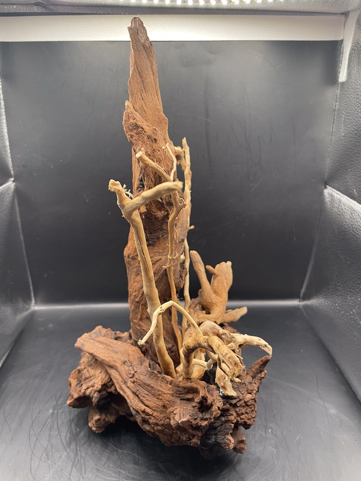 Aquarium Driftwood Wood Mix Natural Aquascape Design Unique - Drifthorn Sentinel