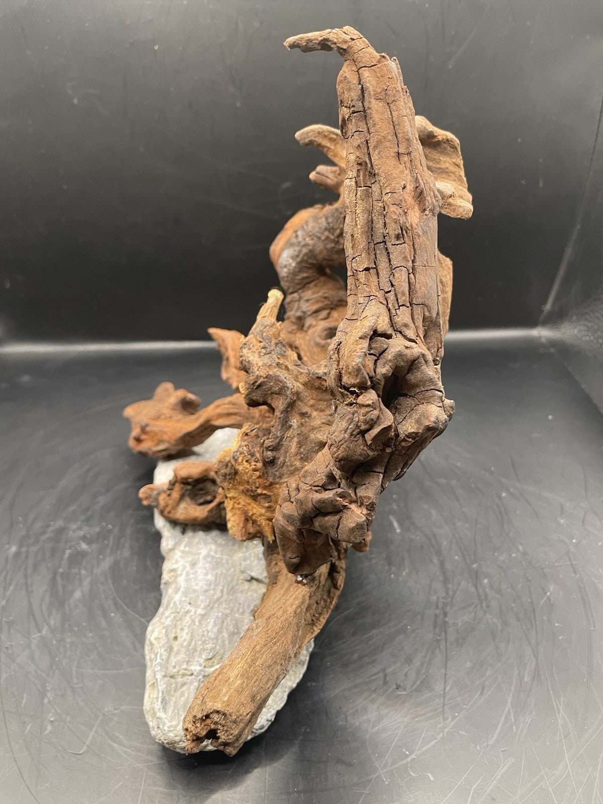 Aquarium Driftwood, Handcrafted Aquascape Unique Decoration - Elderhowl