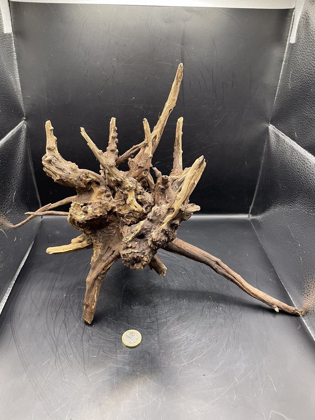 Aquarium Driftwood Wood Natural Aquascape Fish Tank - Starburst Stump