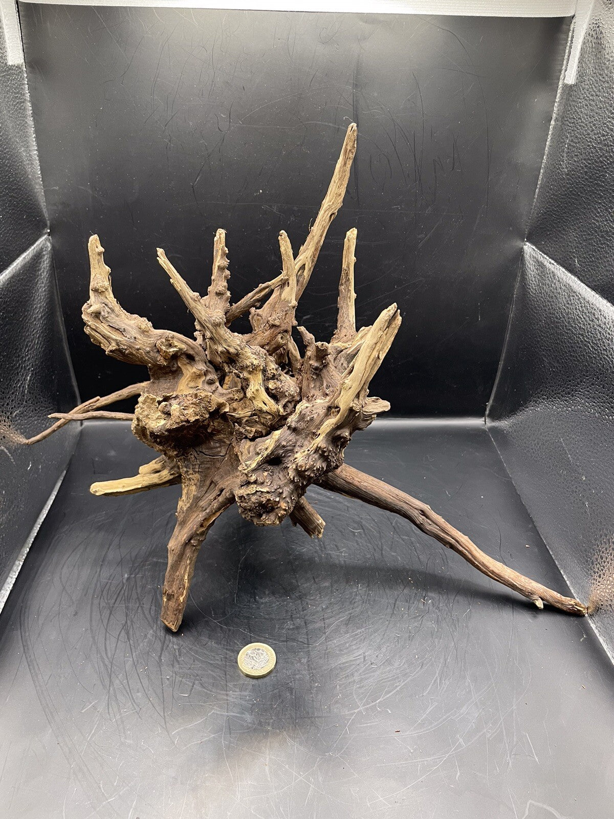 Aquarium Driftwood Wood Natural Aquascape Fish Tank - Starburst Stump