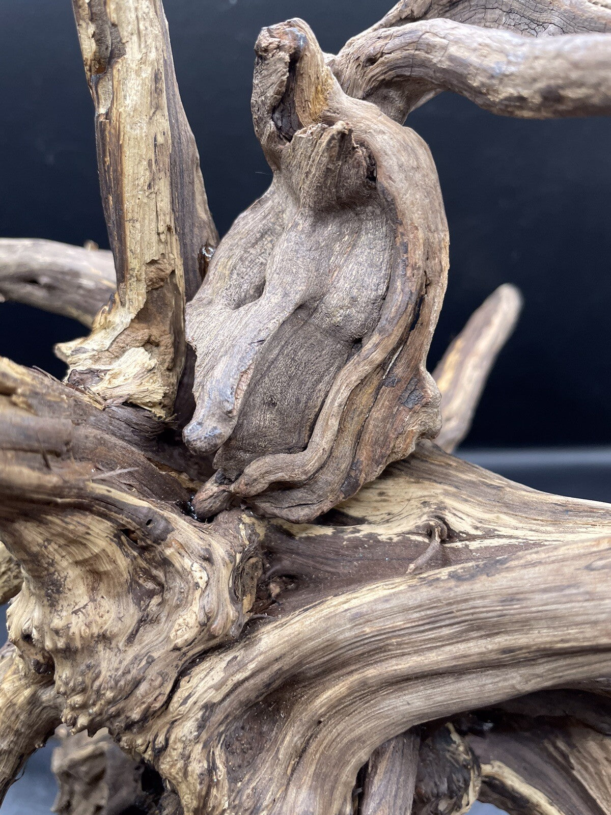 Aquarium Driftwood Wood Natural Aquascape Fish Tank - Spire Burst Root