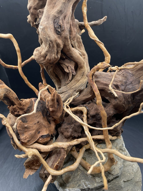 Aquarium Driftwood Handcrafted Aquascape Unique - The Bramble Reliquary