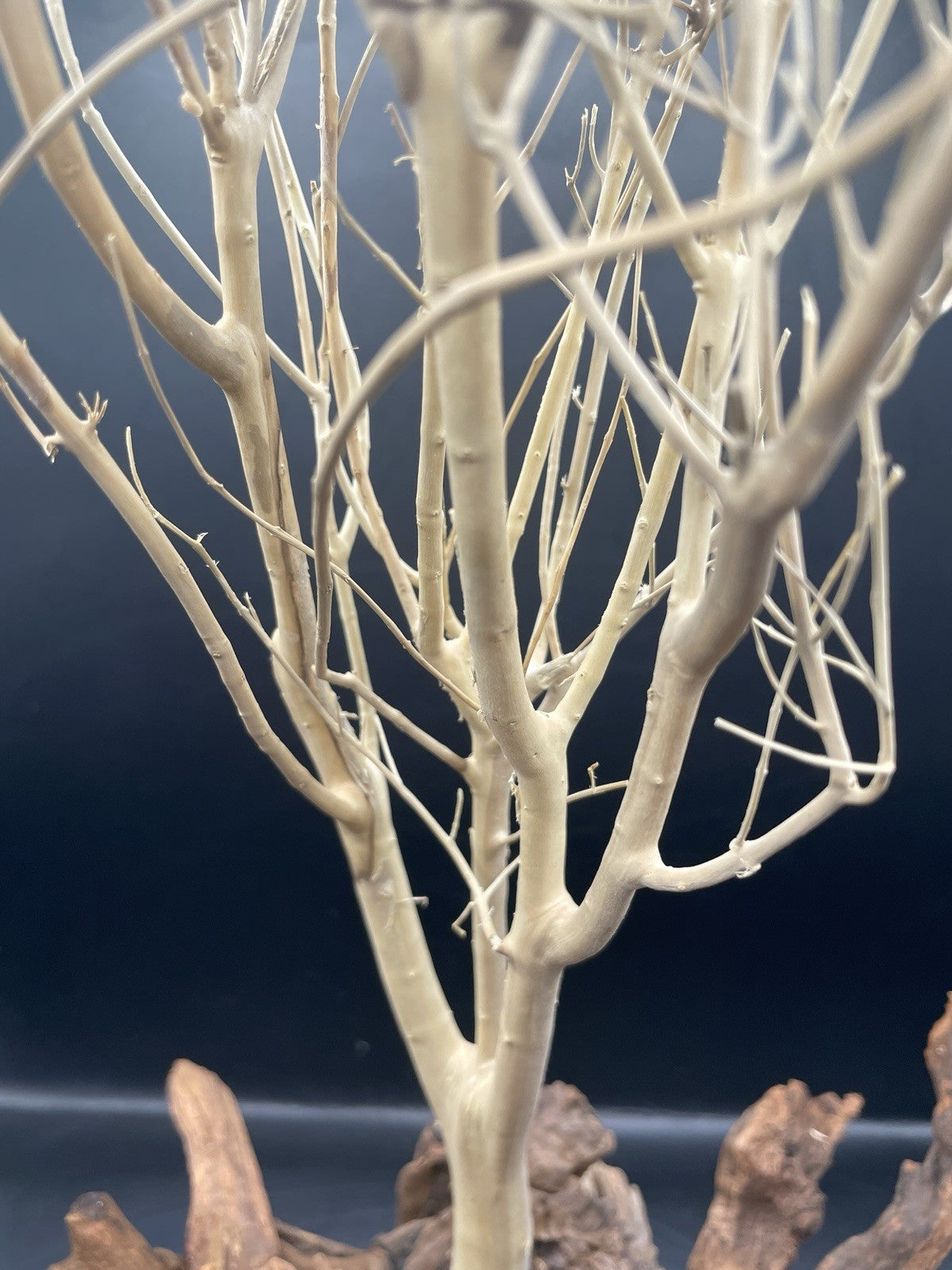 Aquarium Driftwood Wood Mix Natural Aquascape Design Unique - Katia
