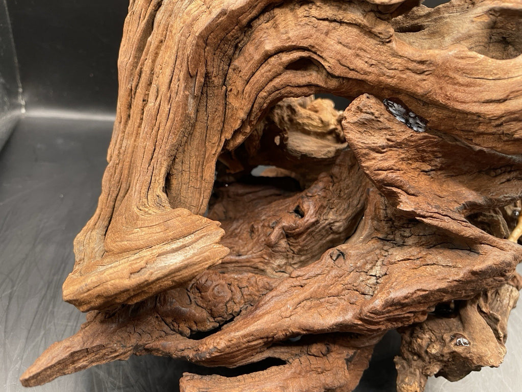 Aquarium Vivarium Driftwood Handcrafted Unique Cave Decoration-The Silvan Maw