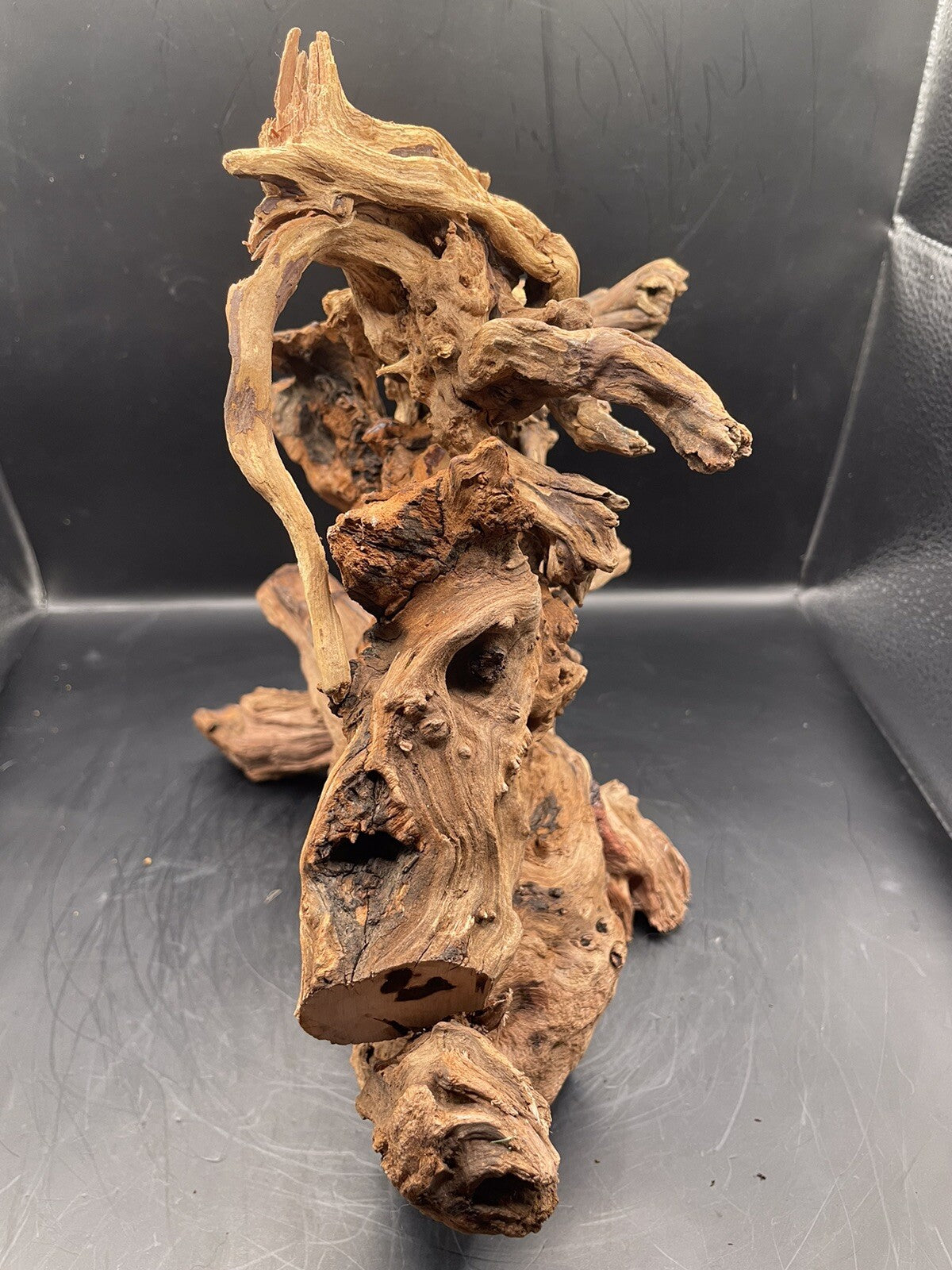 Aquarium Driftwood Wood Mix Natural Aquascape Design Unique - Serpents Spine