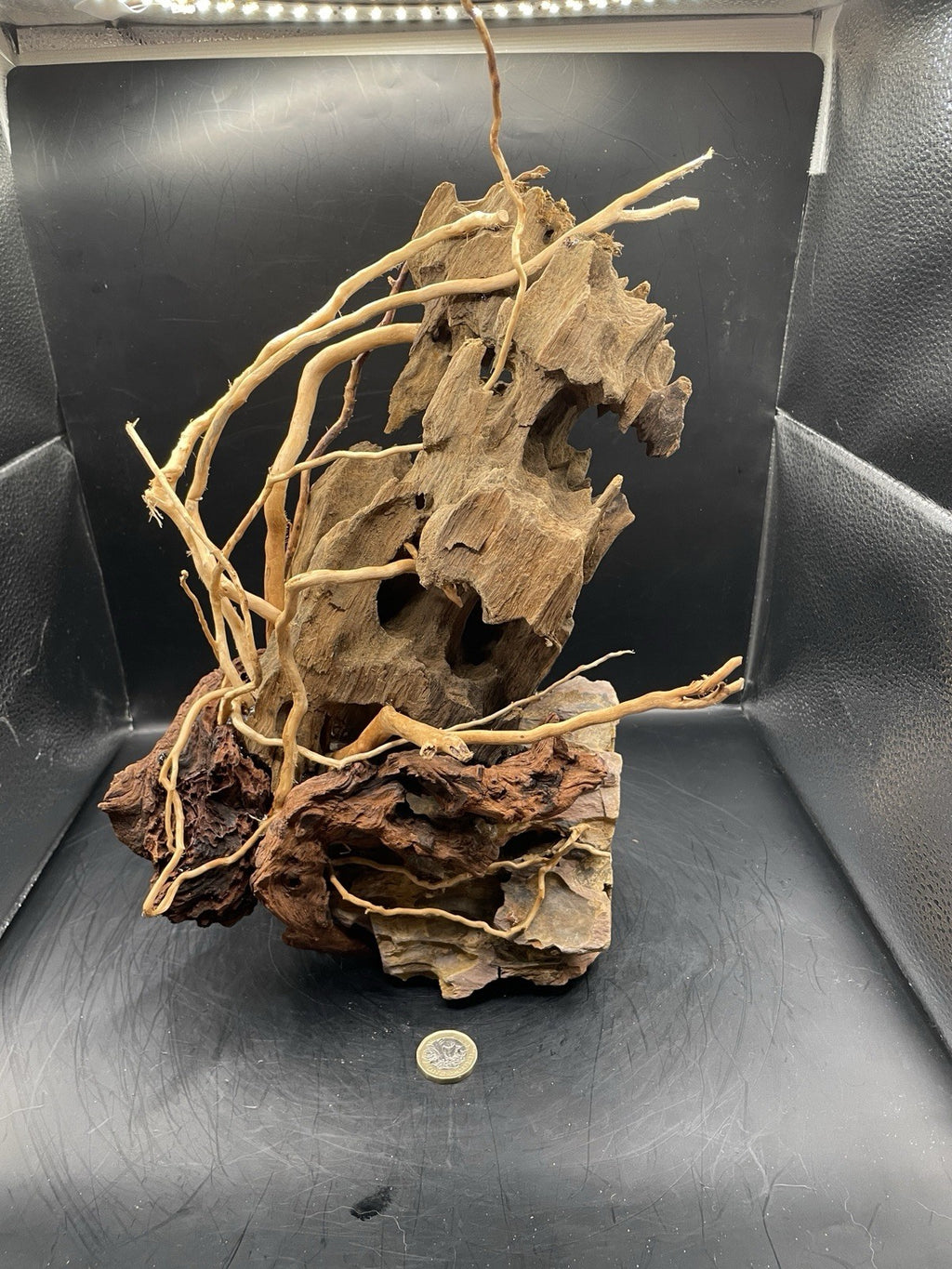 Aquarium Driftwood Handcrafted Aquascape Unique - Fenbone Gate