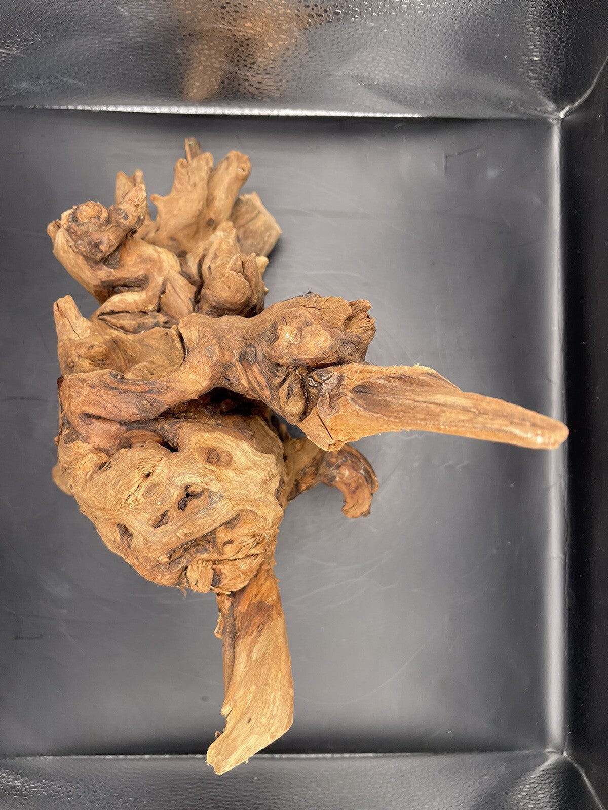 Aquarium Driftwood Wood Mix Natural Aquascape Design Unique - Krakens Claw