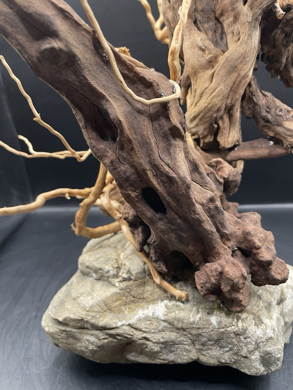 Aquarium Driftwood Handcrafted Aquascape Unique - The Bramble Reliquary